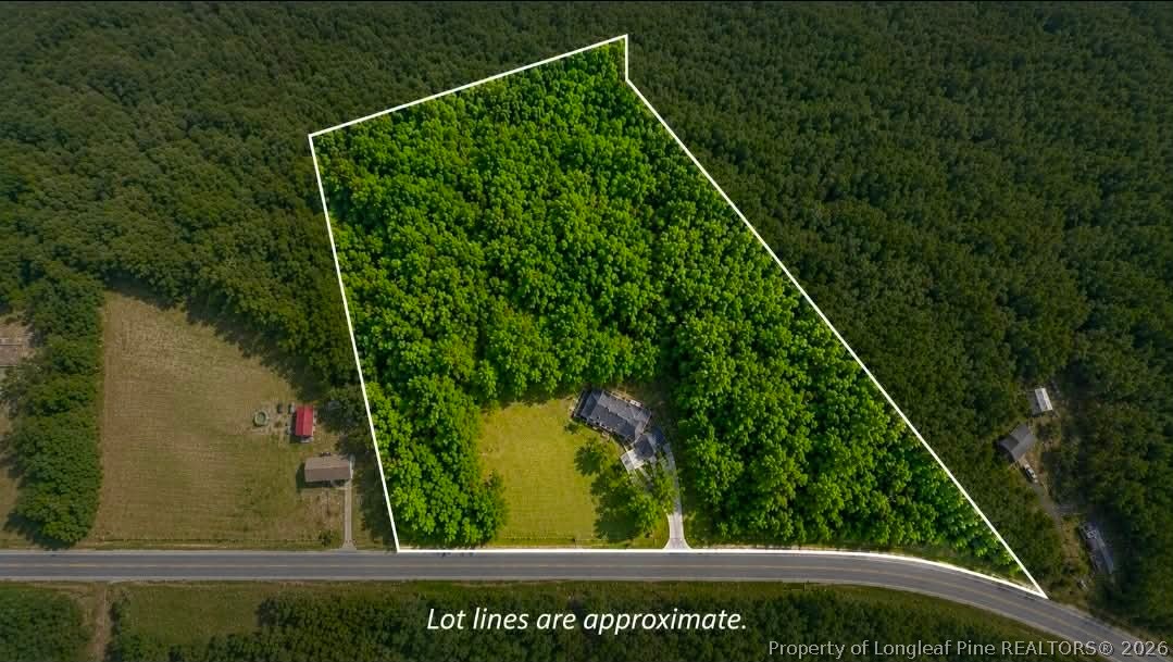 3524 Pine Log Road Lumberton, NC 28360 - Photo 42 of 42 a view of a yard with plants