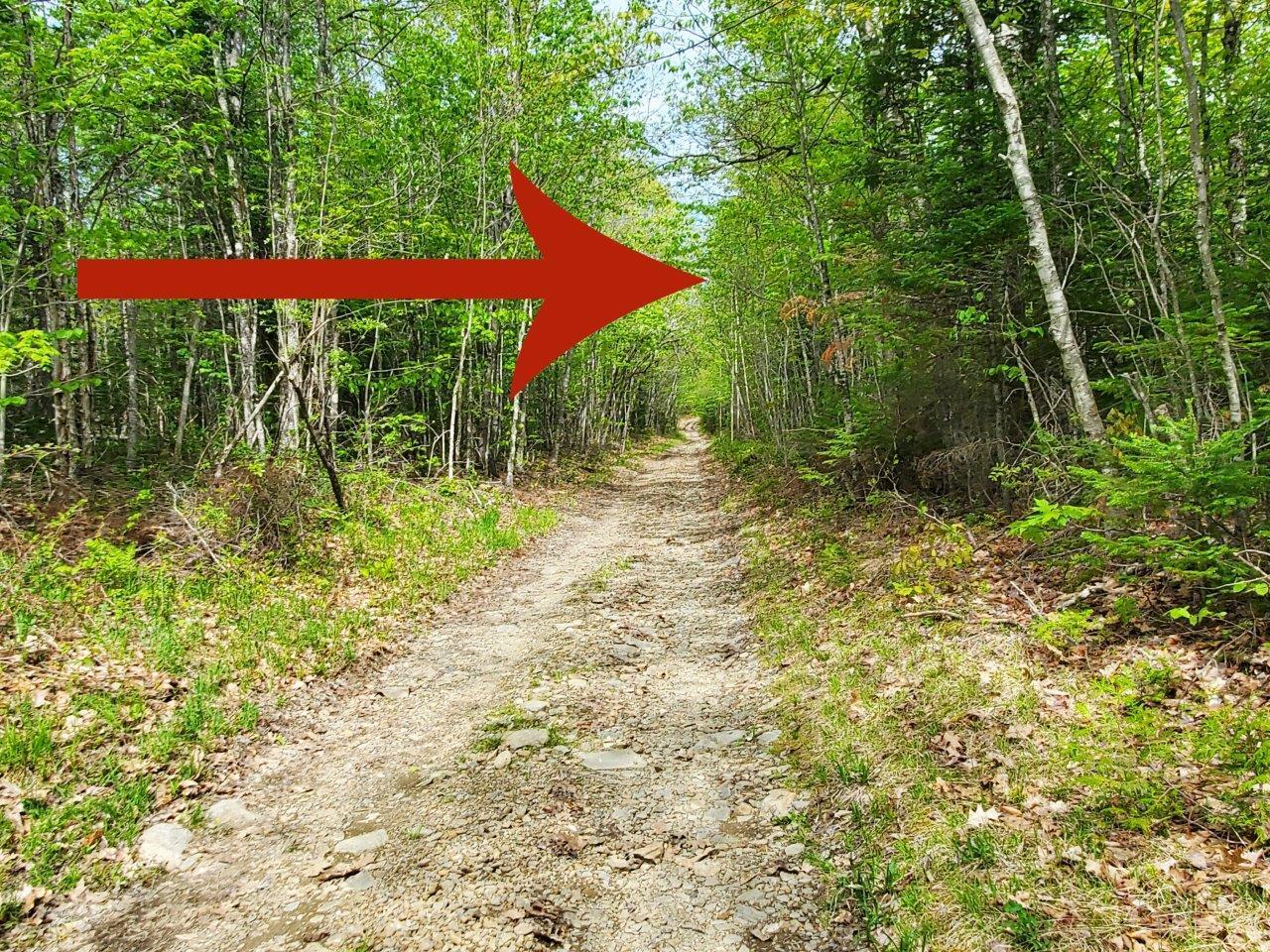 Lot 7 Pleasant Pond Road Milo, ME 04463 - Photo 17 of 32 20260523_144734 adj