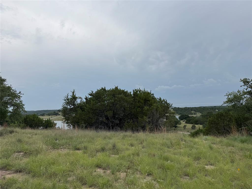 810 Anglers Ridge Bluff Dale, TX 76433 - Photo 4 of 23 a view of a field of grass and trees