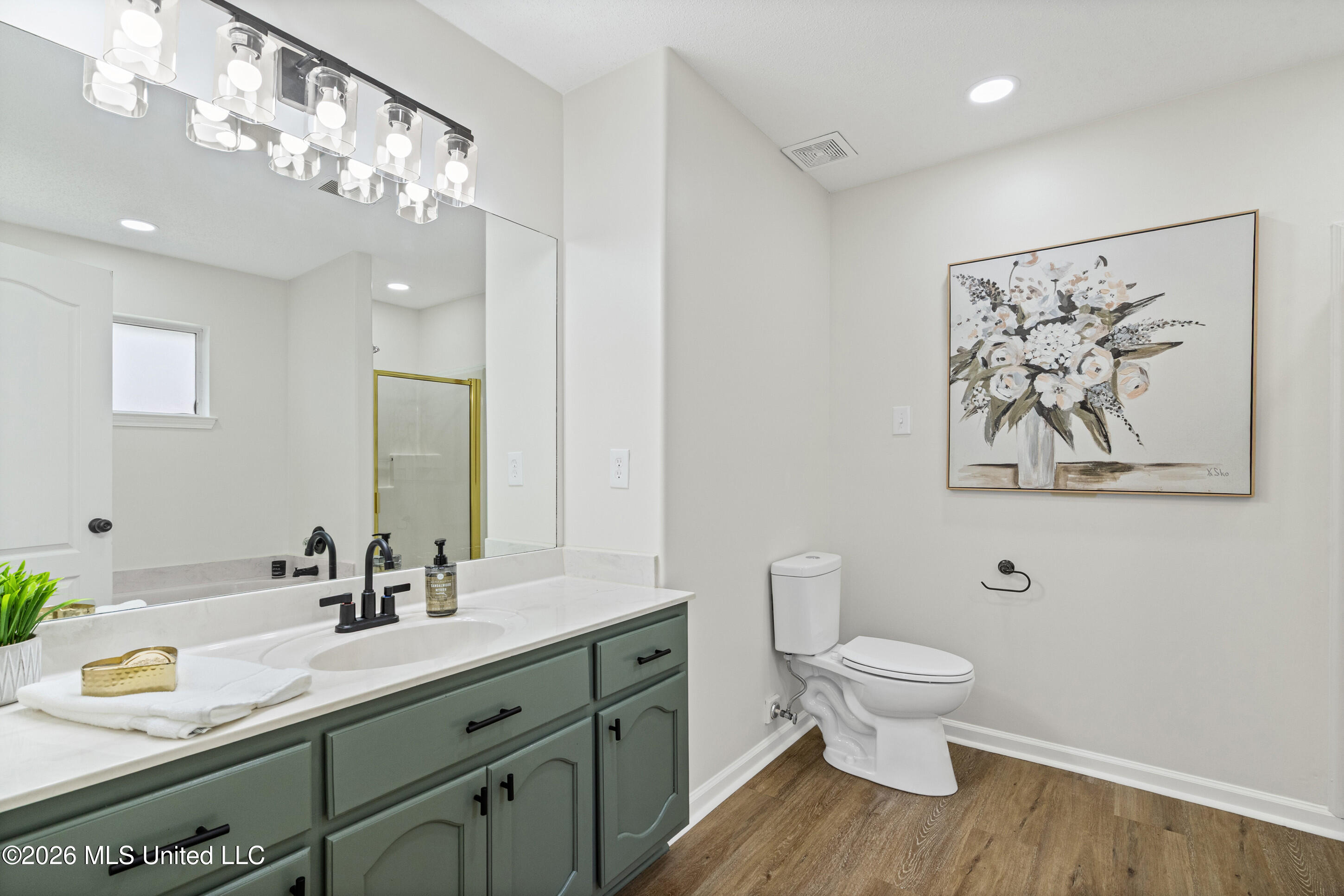 9837 Alexanders Ridge Drive Olive Branch, MS 38654 - Photo 17 of 30 _DSC8178_print