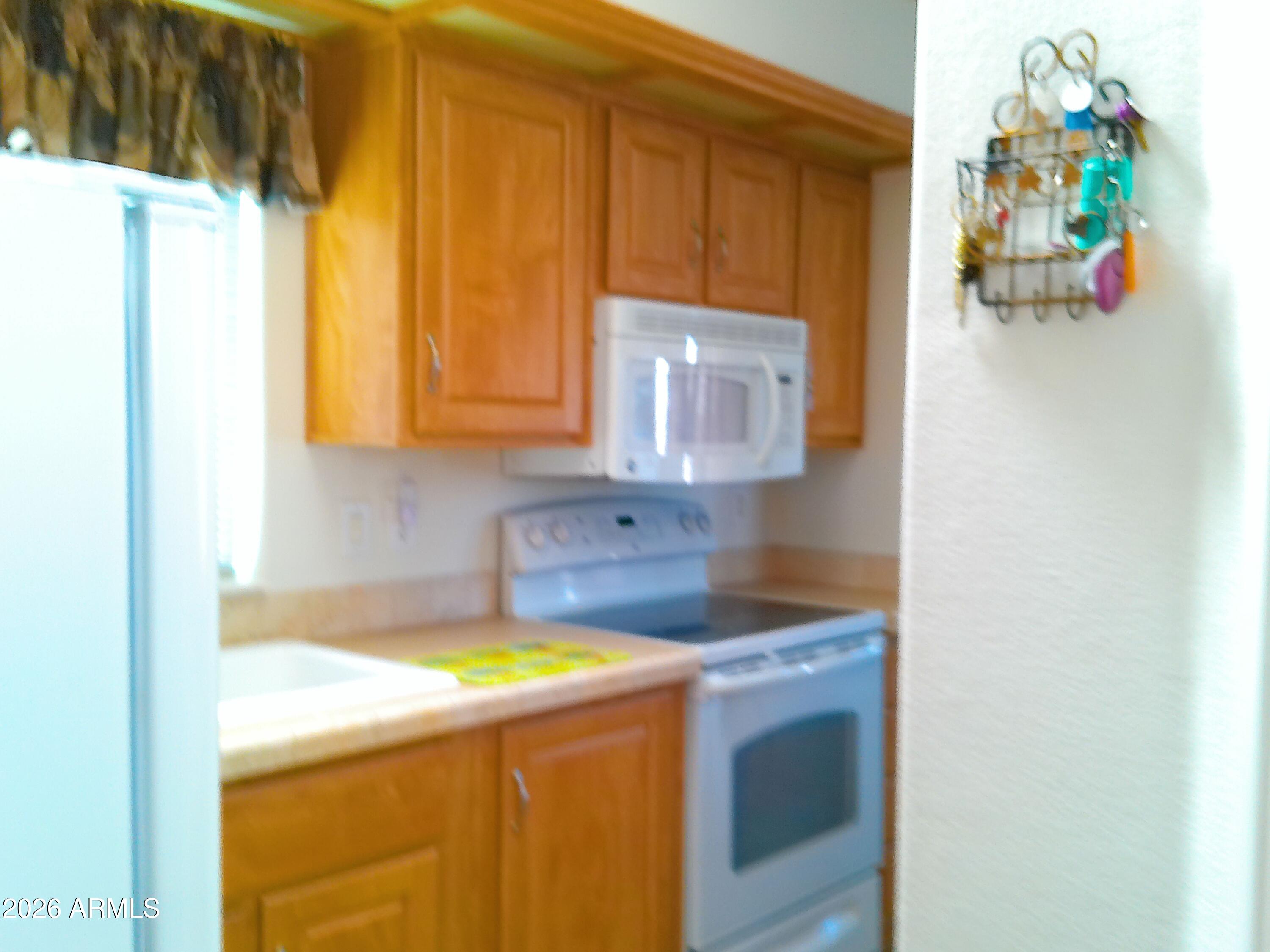 3710 South Goldfield Road, Unit 203 Apache Junction, AZ 85119 - Photo 13 of 20 ANMP0049