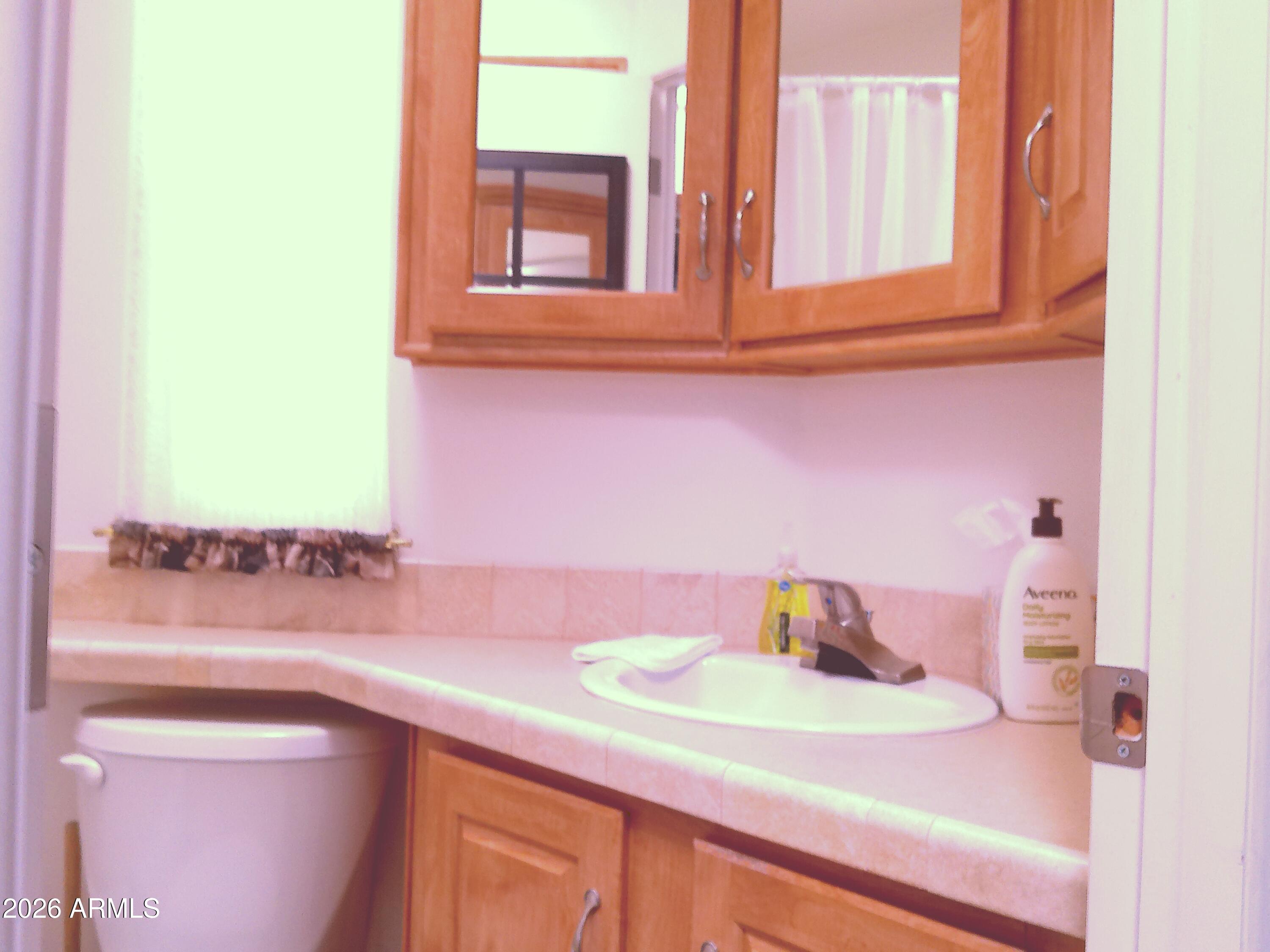 3710 South Goldfield Road, Unit 203 Apache Junction, AZ 85119 - Photo 18 of 23 ANMP0018