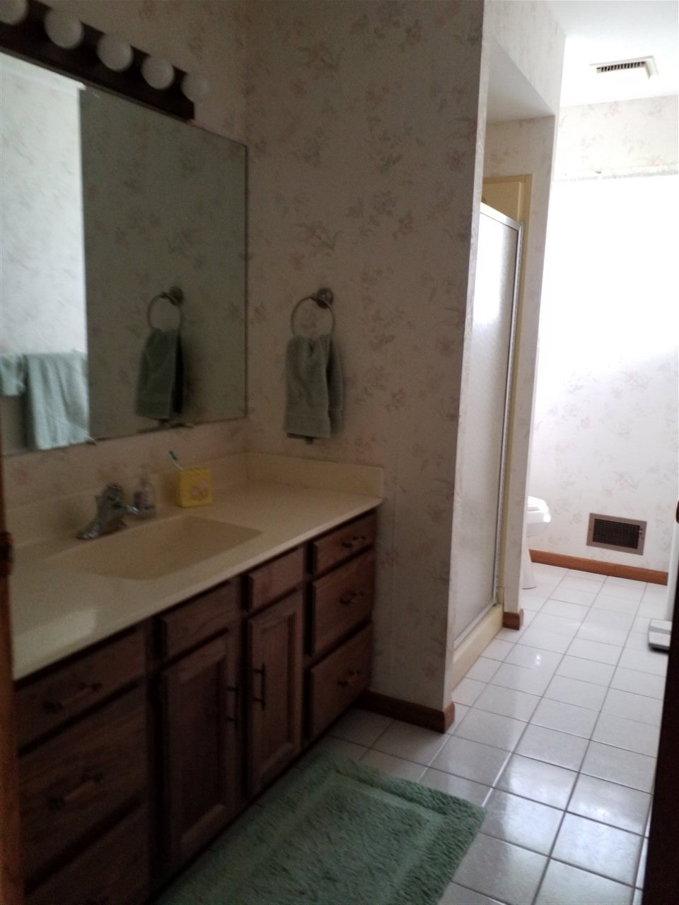 1548 Riverside Road Belvidere, IL 61008 - Photo 11 of 21 a bathroom with a sink and a mirror