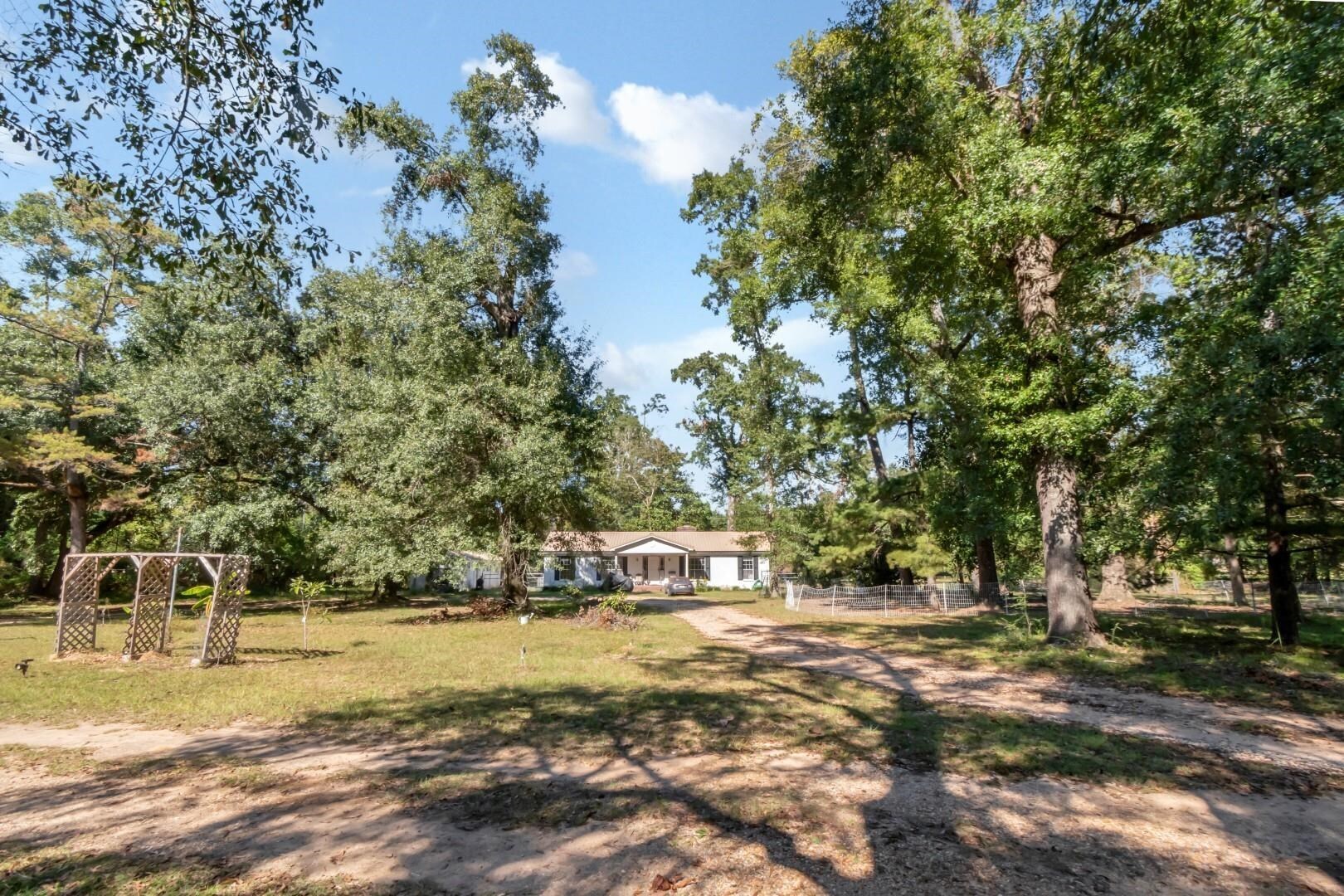 6405 1st Street Wilmer, AL 36587 - Photo 23 of 38 View of yard featuring view of scattered trees