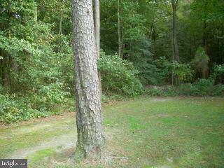 Outten Road Salisbury, MD 21804 - Photo 7 of 7 Gallery Image 7
