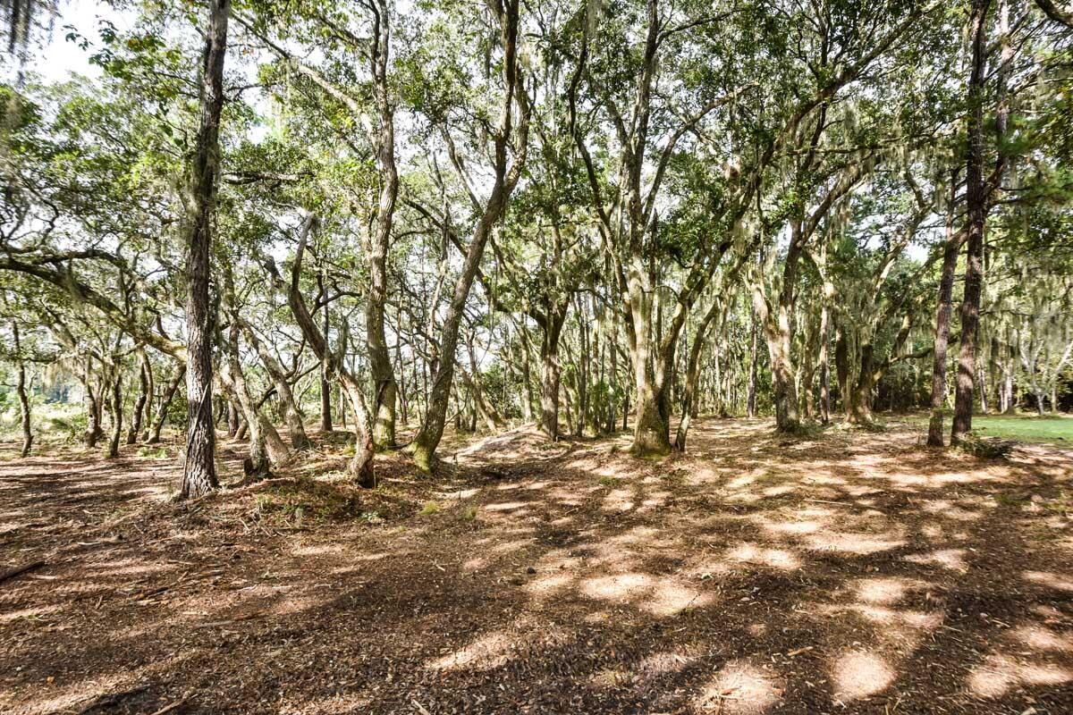 2569 Abbapoola Road Johns Island, SC 29455 - Photo 19 of 58 DSC_2041