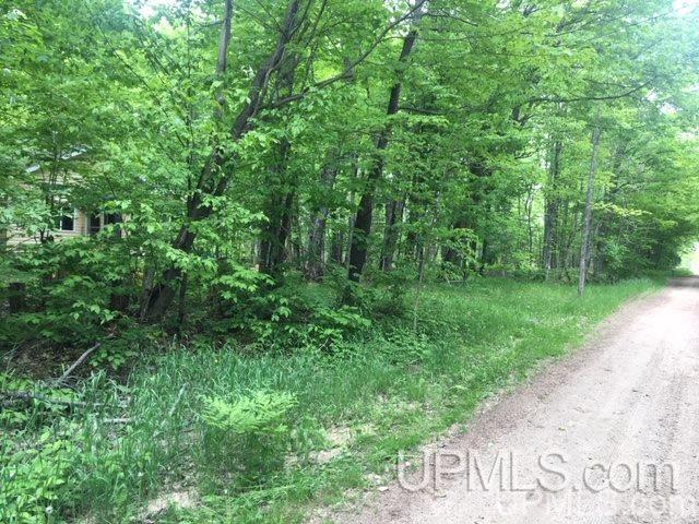 864 Niemi Road Skandia, MI 49885 - Photo 2 of 27