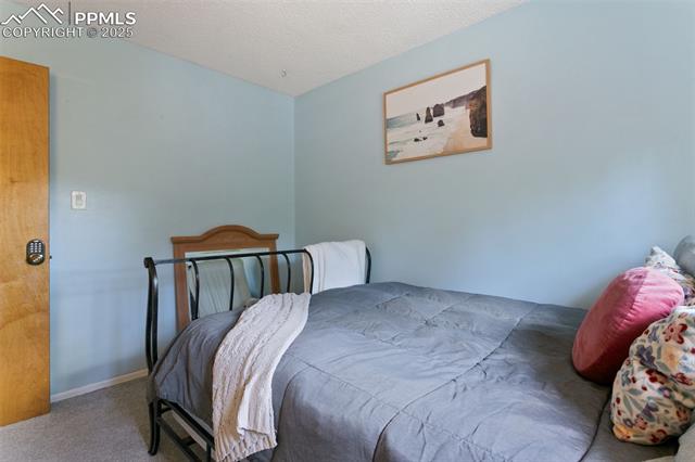 4710 Cheerful Road Colorado Springs, CO 80917 - Photo 23 of 28 Bedroom with carpet and a textured ceiling
