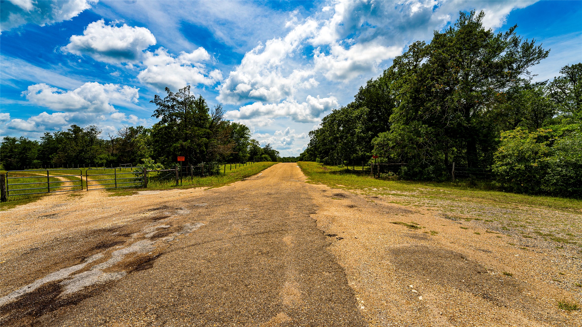1470 22 Hills Road Gause, TX 77857 - Photo 8 of 35 A long, winding gravel driveway leads through a lush, tree-lined landscape under a vast sky.
