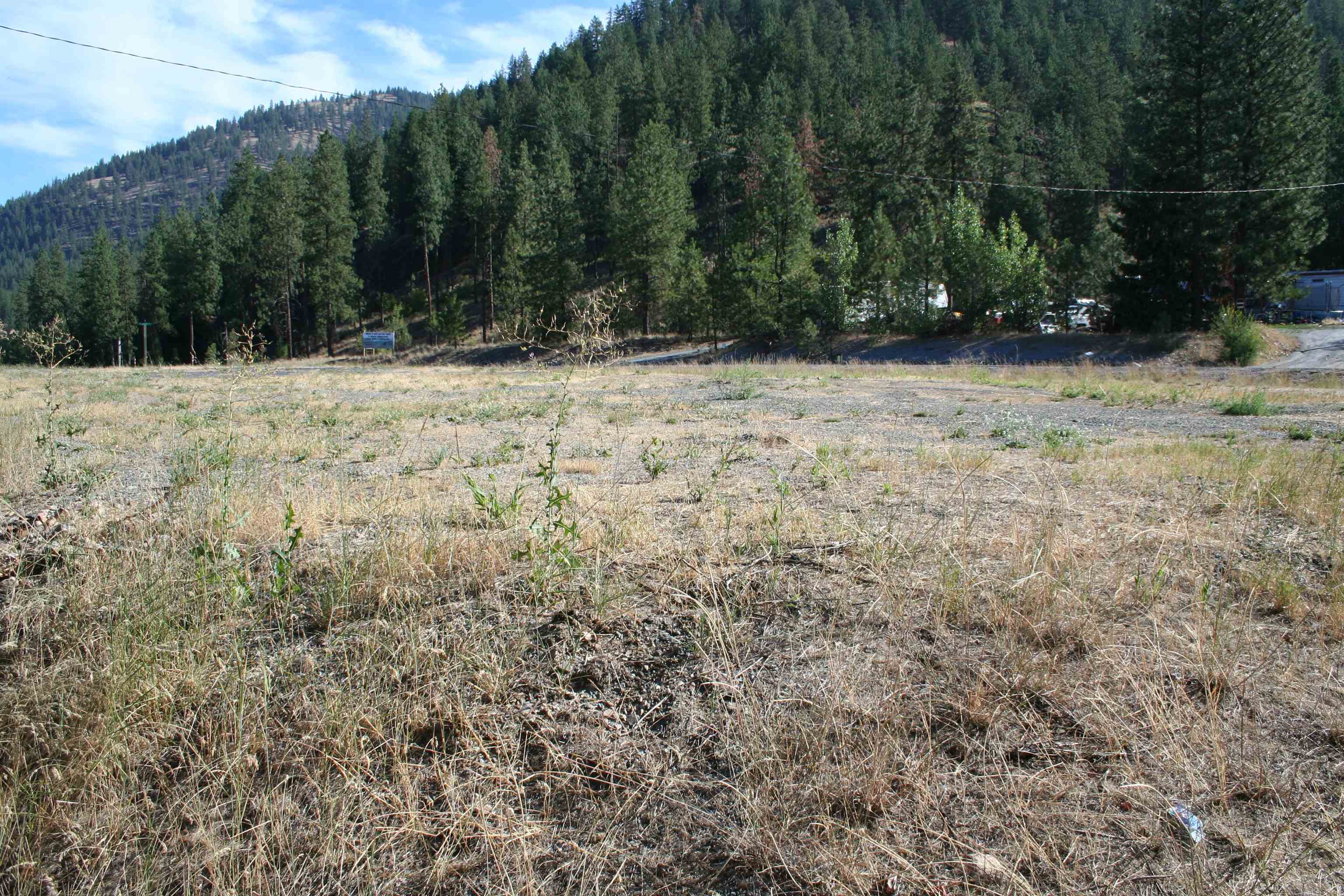 395 South Hwy Addy Wa 99101 Highway Addy, WA 99101 - Photo 3 of 9