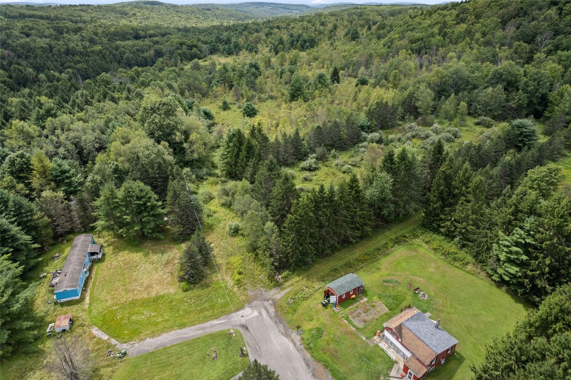 485 Death Valley Road Johnson City, NY 13790 - Photo 4 of 6 Gallery Image 4