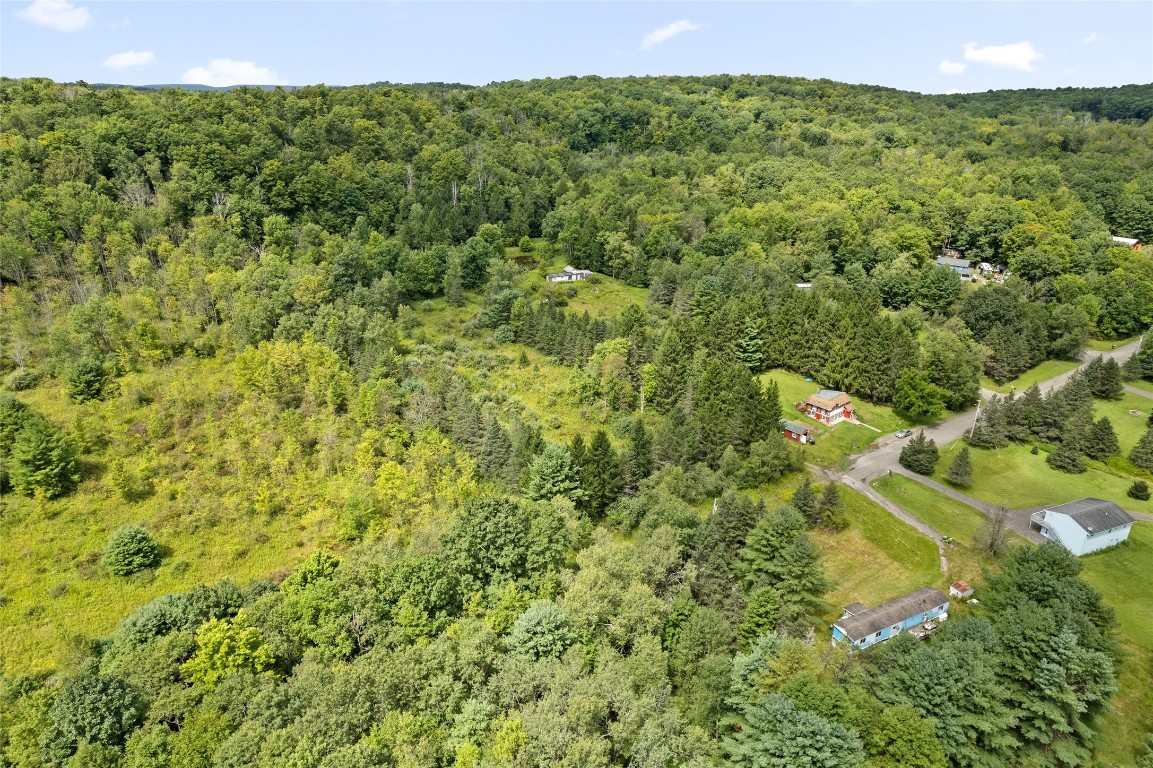 485 Death Valley Road Johnson City, NY 13790 - Photo 5 of 6 Gallery Image 5