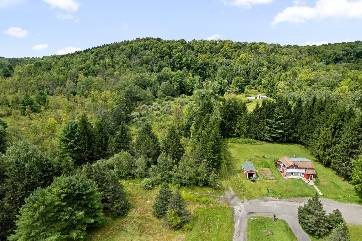 485 Death Valley Road Johnson City, NY 13790 - Photo 6 of 6 Gallery Image 6