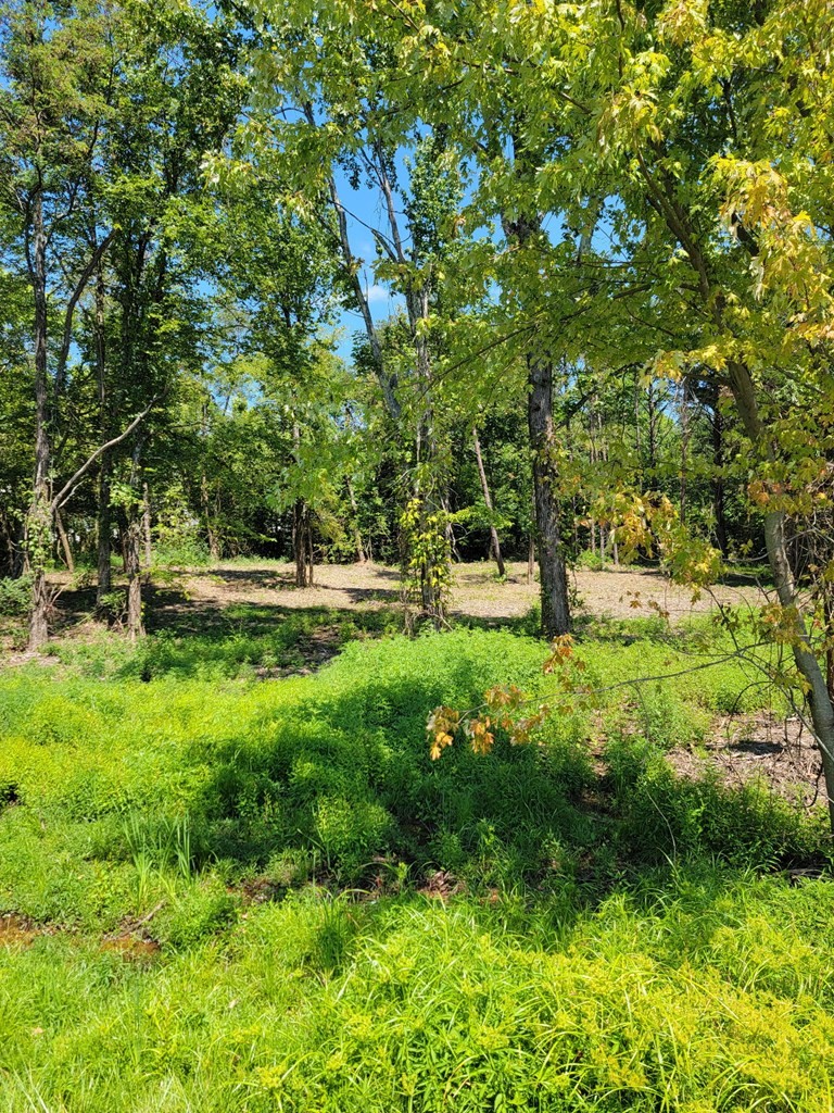 204 Vandy Circle Sparta, TN 38583 - Photo 3 of 9 a view of park