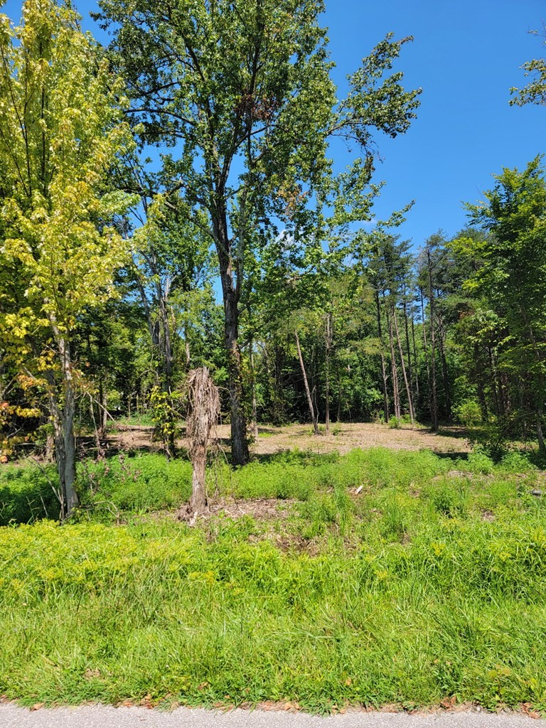 204 Vandy Circle Sparta, TN 38583 - Photo 4 of 9 a view of backyard with table and chairs