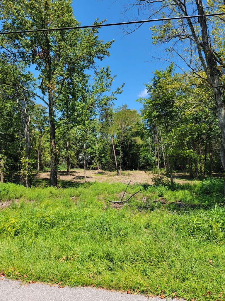 204 Vandy Circle Sparta, TN 38583 - Photo 6 of 9 a view of backyard with green space