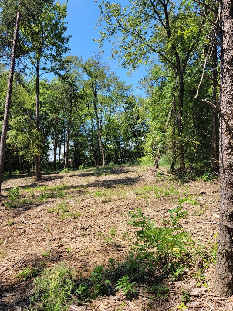 204 Vandy Circle Sparta, TN 38583 - Photo 7 of 9 a view of outdoor space with trees