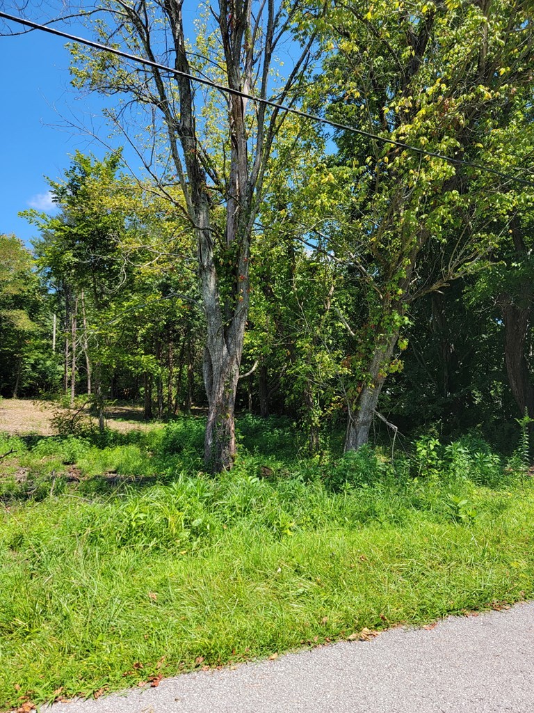 204 Vandy Circle Sparta, TN 38583 - Photo 8 of 9 a view of backyard with green space