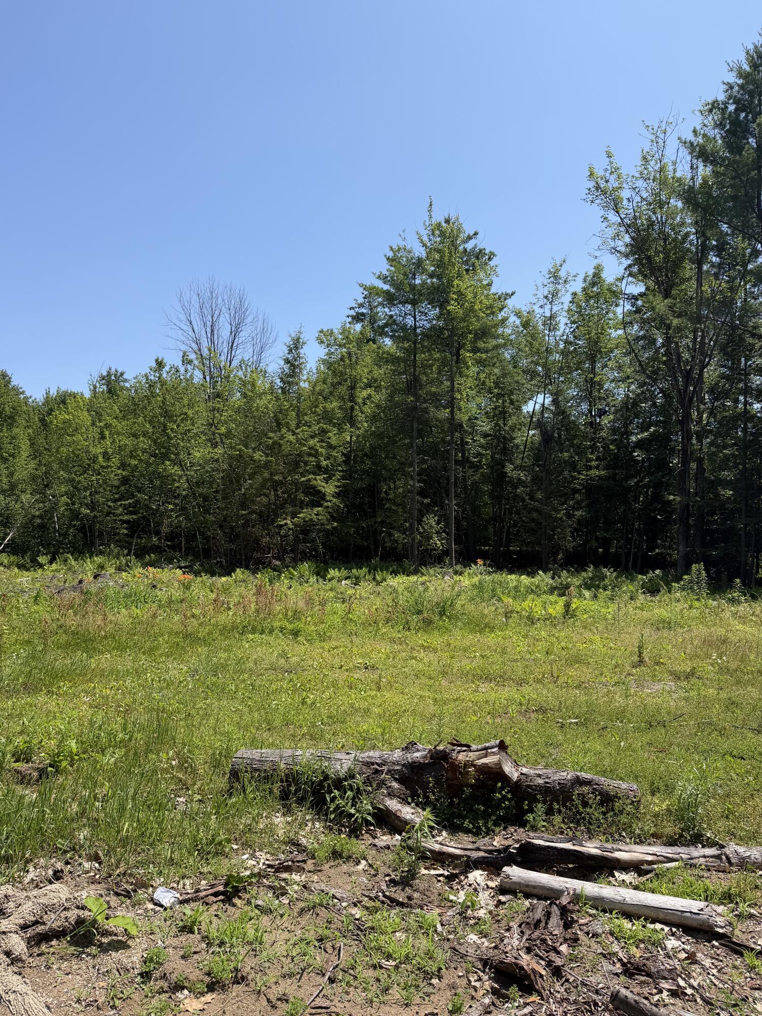 228 Staley Road Morrisonville, NY 12962 - Photo 6 of 8
