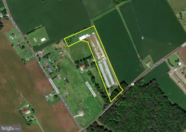 a green field with lots of trees in it