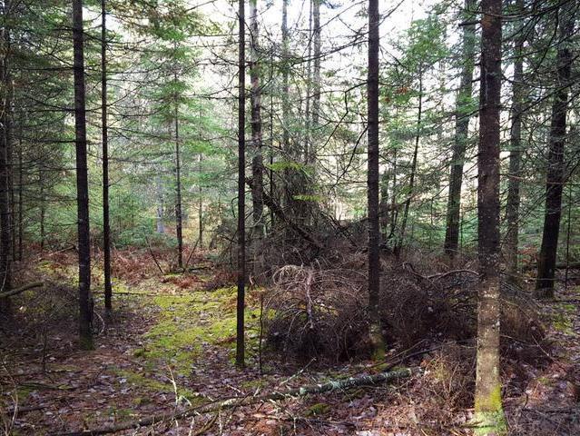 Lot 2 Hunter Haven Road Rhinelander, WI 54501 - Photo 1 of 1 Gallery Image 1