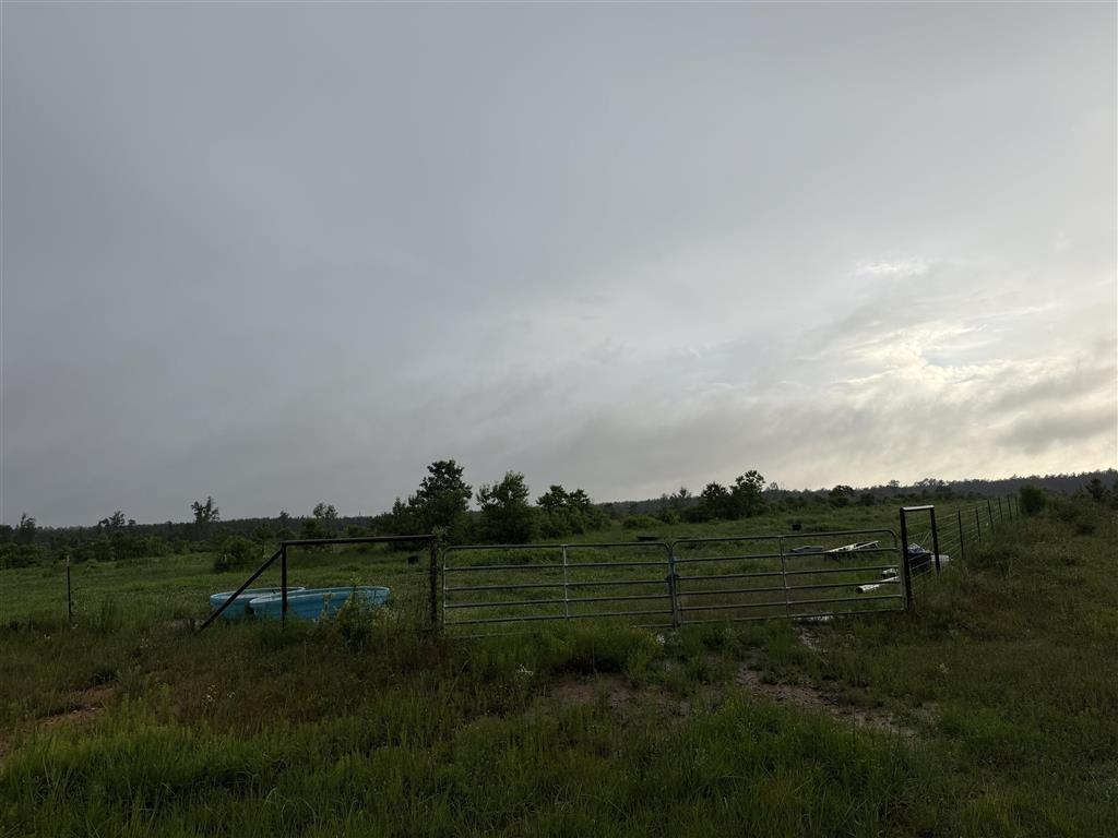 James Manning Road Deridder, LA 70634 - Photo 2 of 10