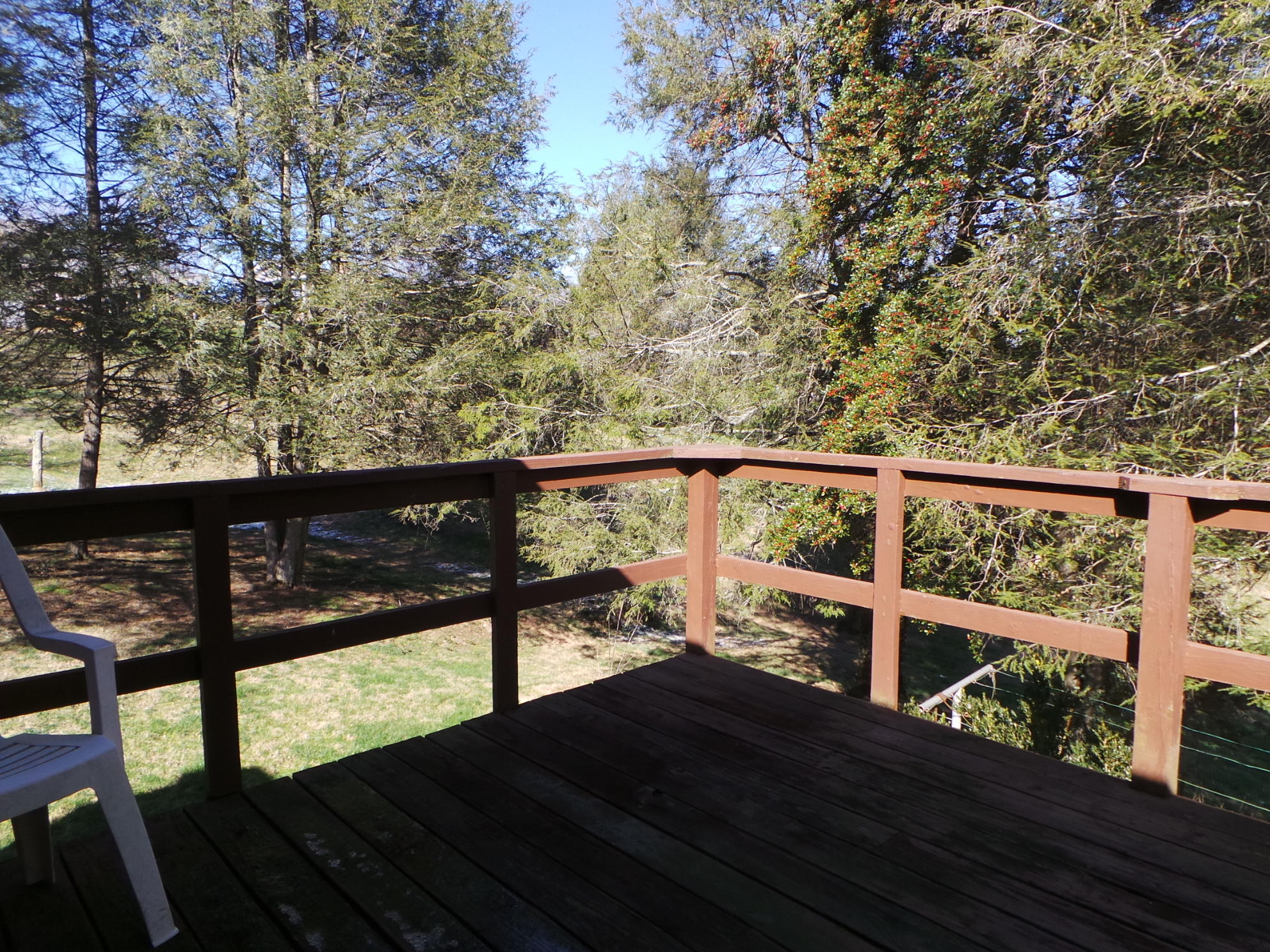 303 Hidden Valley Road Kingsport, TN 37663 - Photo 67 of 100 20200221_141011