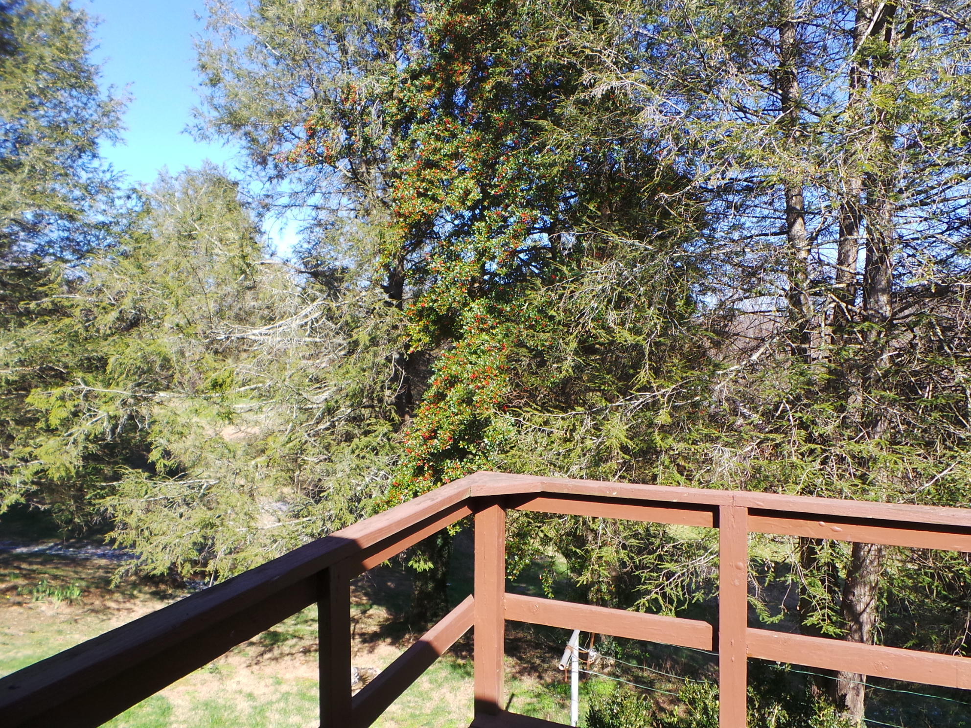 303 Hidden Valley Road Kingsport, TN 37663 - Photo 72 of 100 20200221_141033