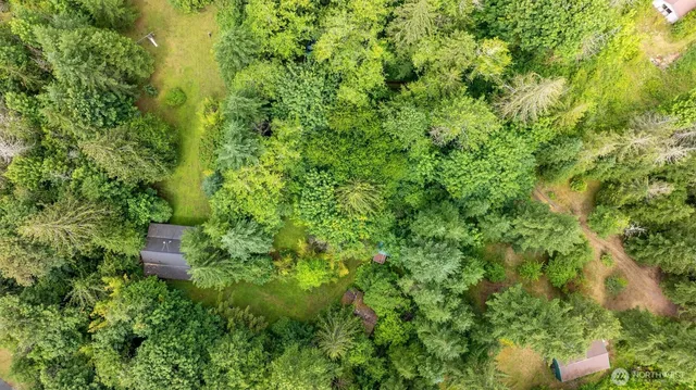 a view of a lush green hillside and a houses