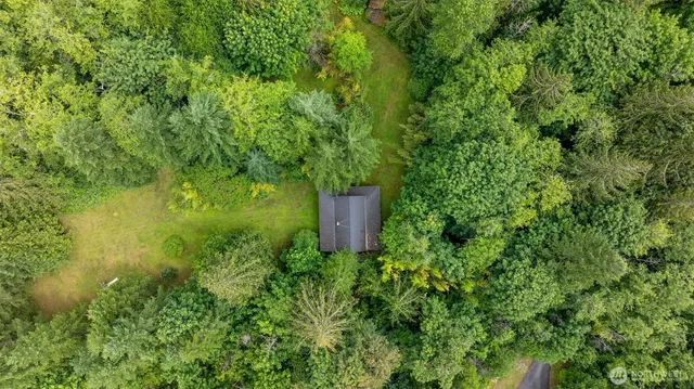 a view of backyard with small cabin