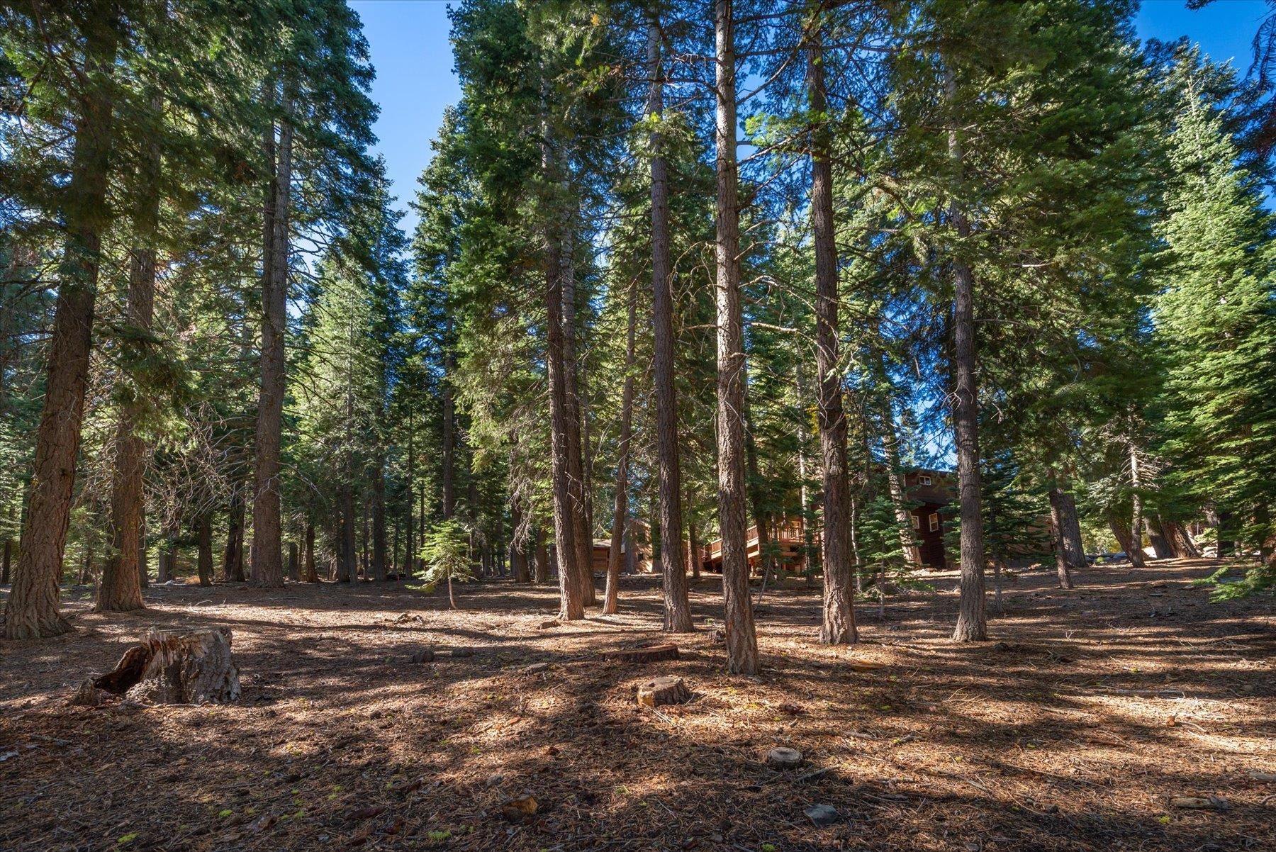 11888 Chamonix Road Truckee, CA 96161 - Photo 10 of 19 Gallery Image 10