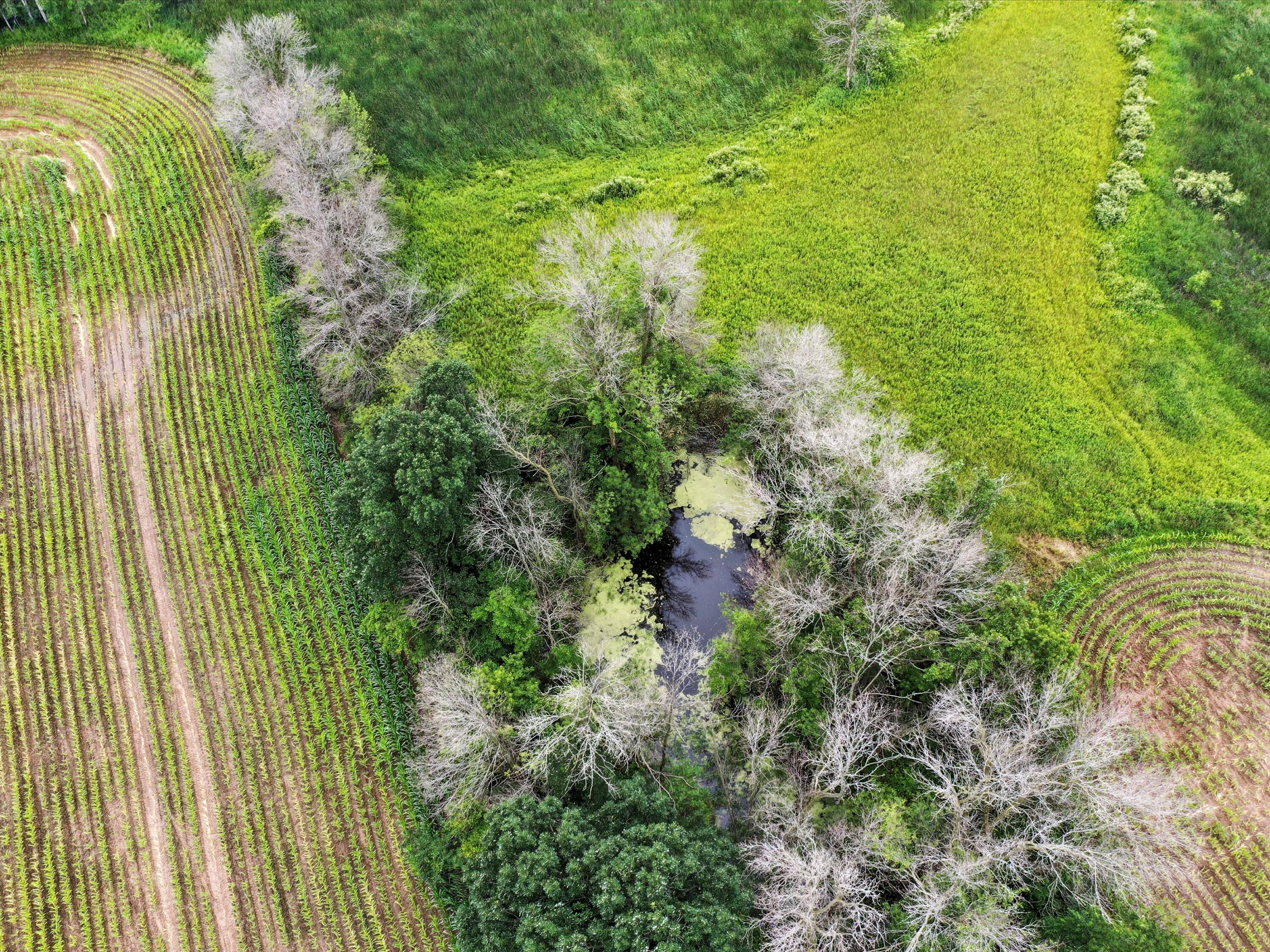 11530 San Road Franklin, WI 54247 - Photo 20 of 38 34-2377920-0904