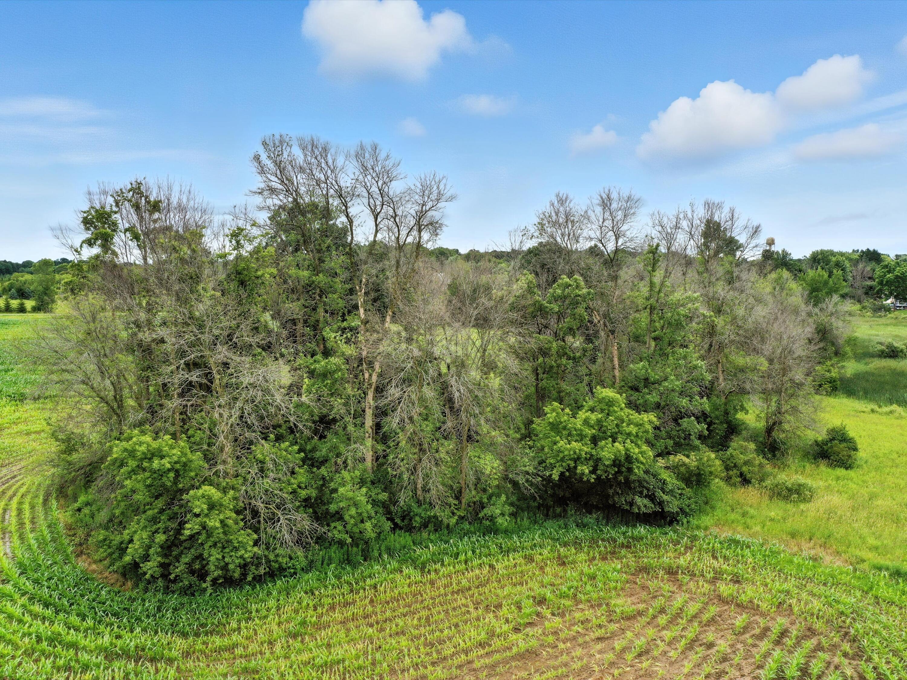 11530 San Road Franklin, WI 54247 - Photo 22 of 38 36-2377920-0906