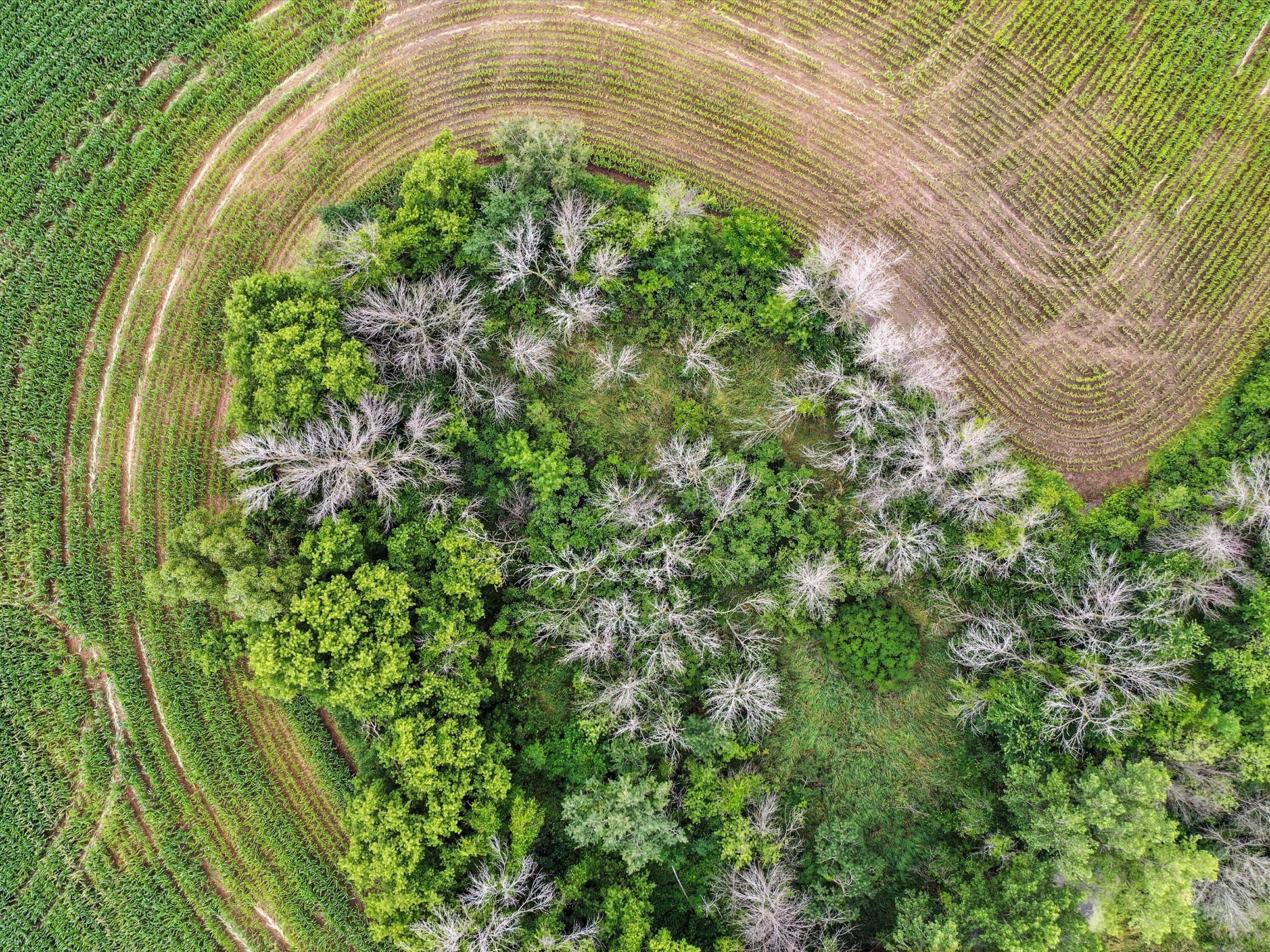 11530 San Road Franklin, WI 54247 - Photo 34 of 38 48-2377920-0918