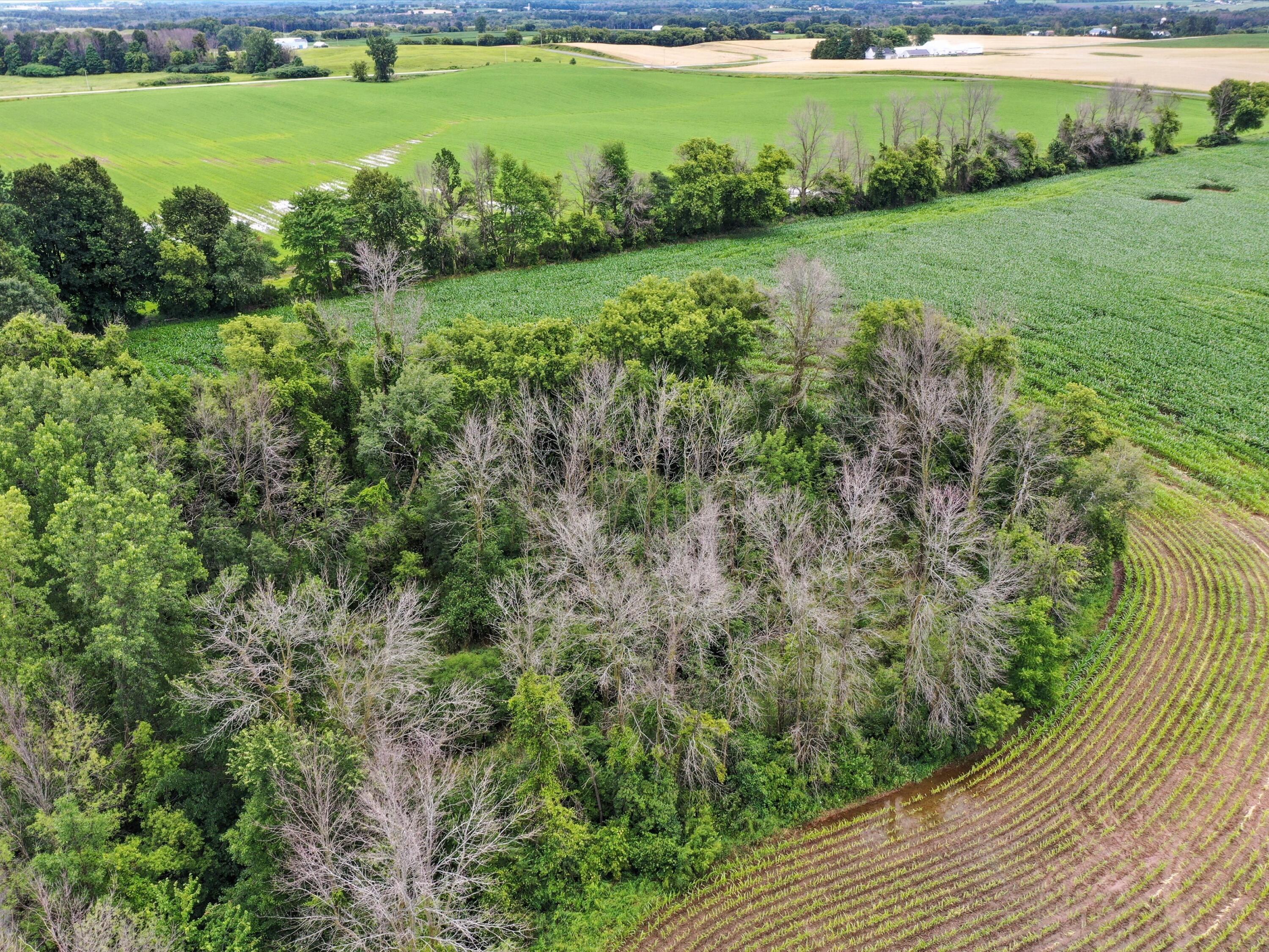 11530 San Road Franklin, WI 54247 - Photo 36 of 38 50-2377920-0920