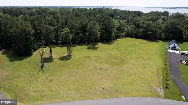 a view of a swimming pool with a yard