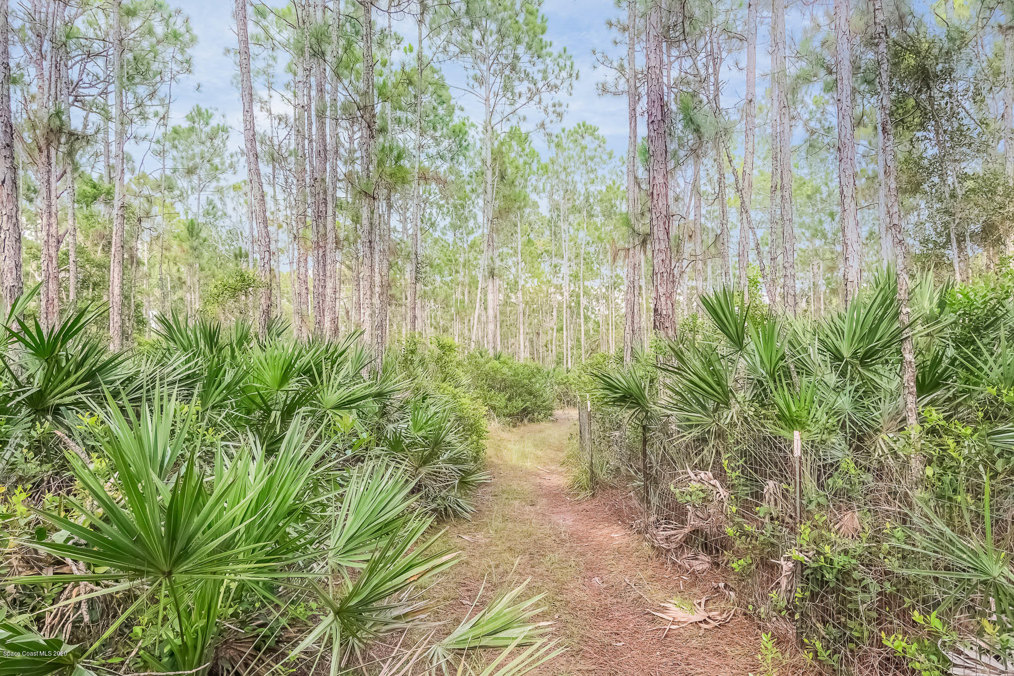 10401 Epiphyte Road Mims, FL 32754 - Photo 25 of 29 DSC_0211-Edit