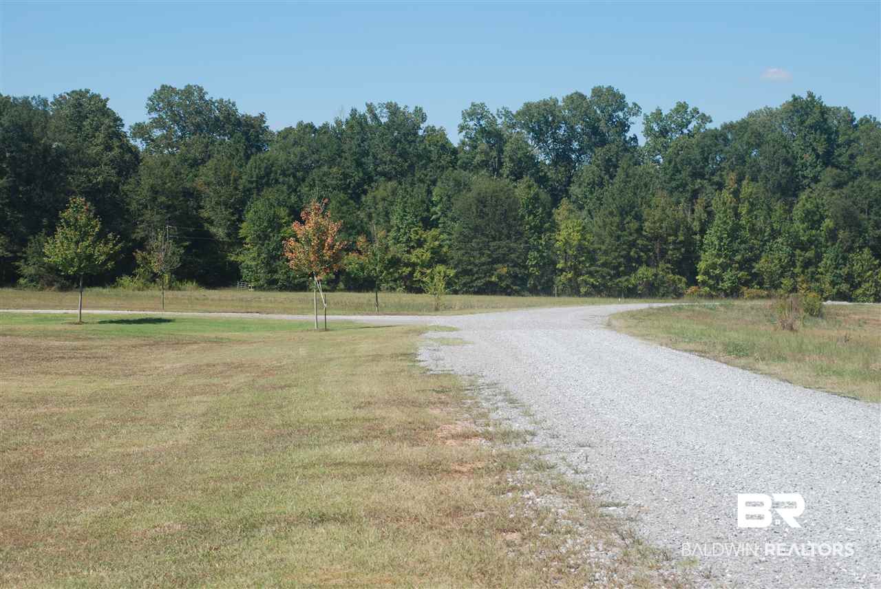 21 Jimmie Phillips Road Sawyerville, AL 36776 - Photo 25 of 41