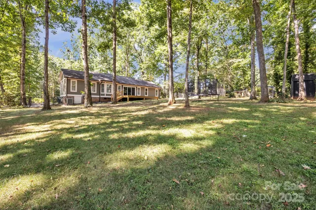 a view of a trees in a yard