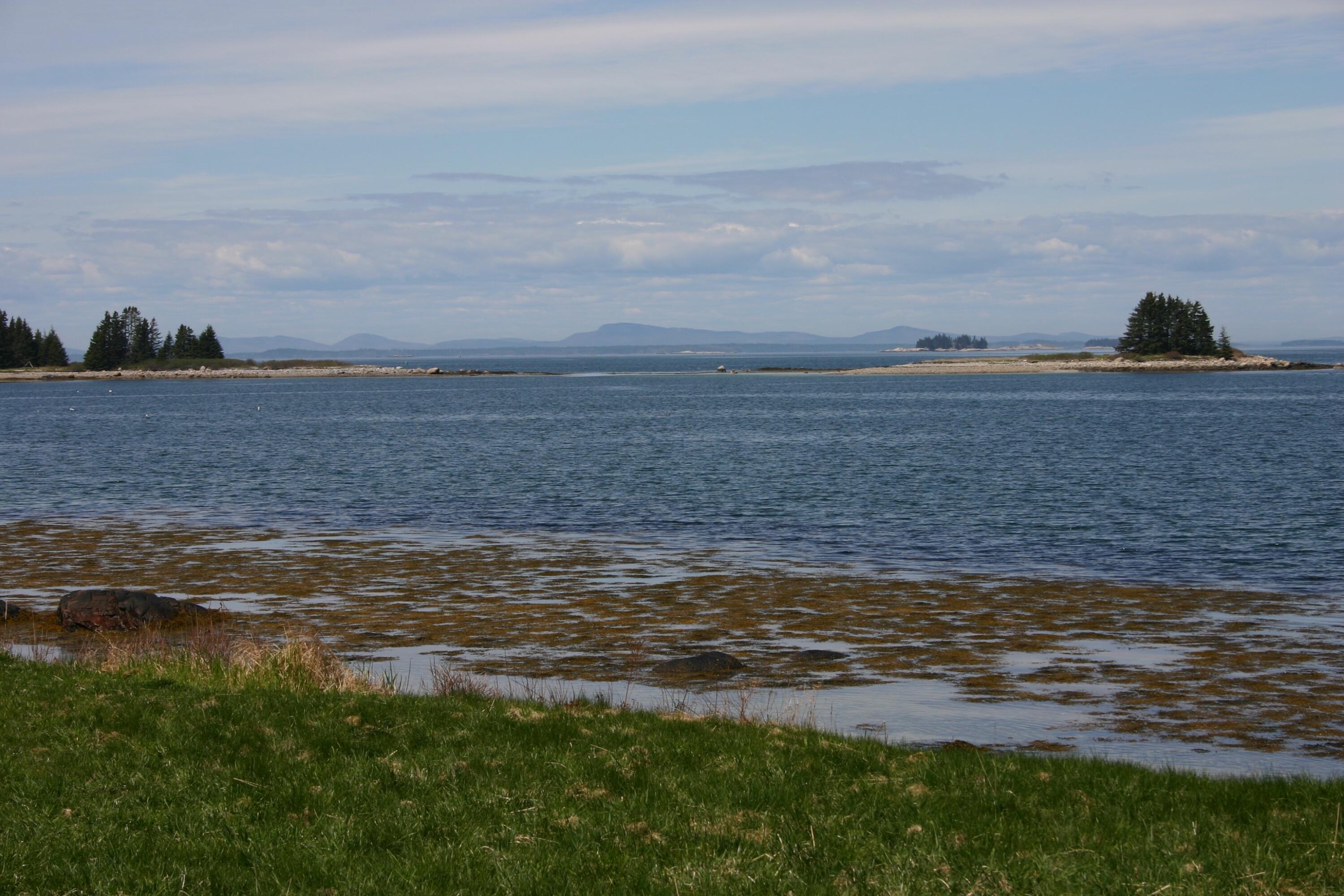 111 Point Lookout Road Isle Au Haut, ME 04645 - Photo 16 of 19 BrookHouse16