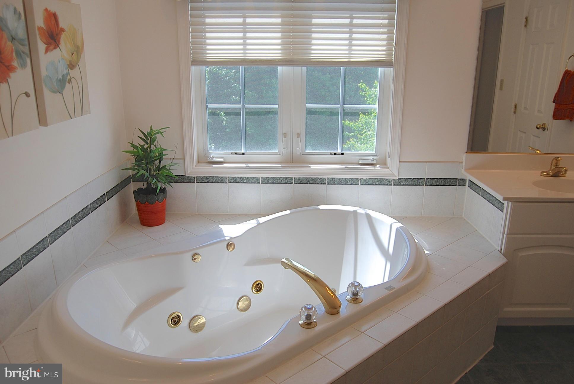 17885 Shaffers Mill Road Mount Airy, MD 21771 - Photo 24 of 27 Bath (Master)