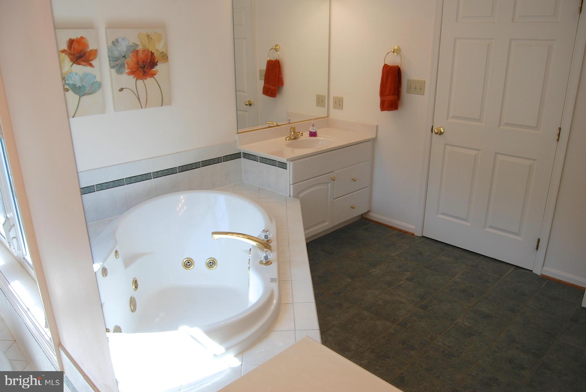 17885 Shaffers Mill Road Mount Airy, MD 21771 - Photo 25 of 27 Bath (Master)
