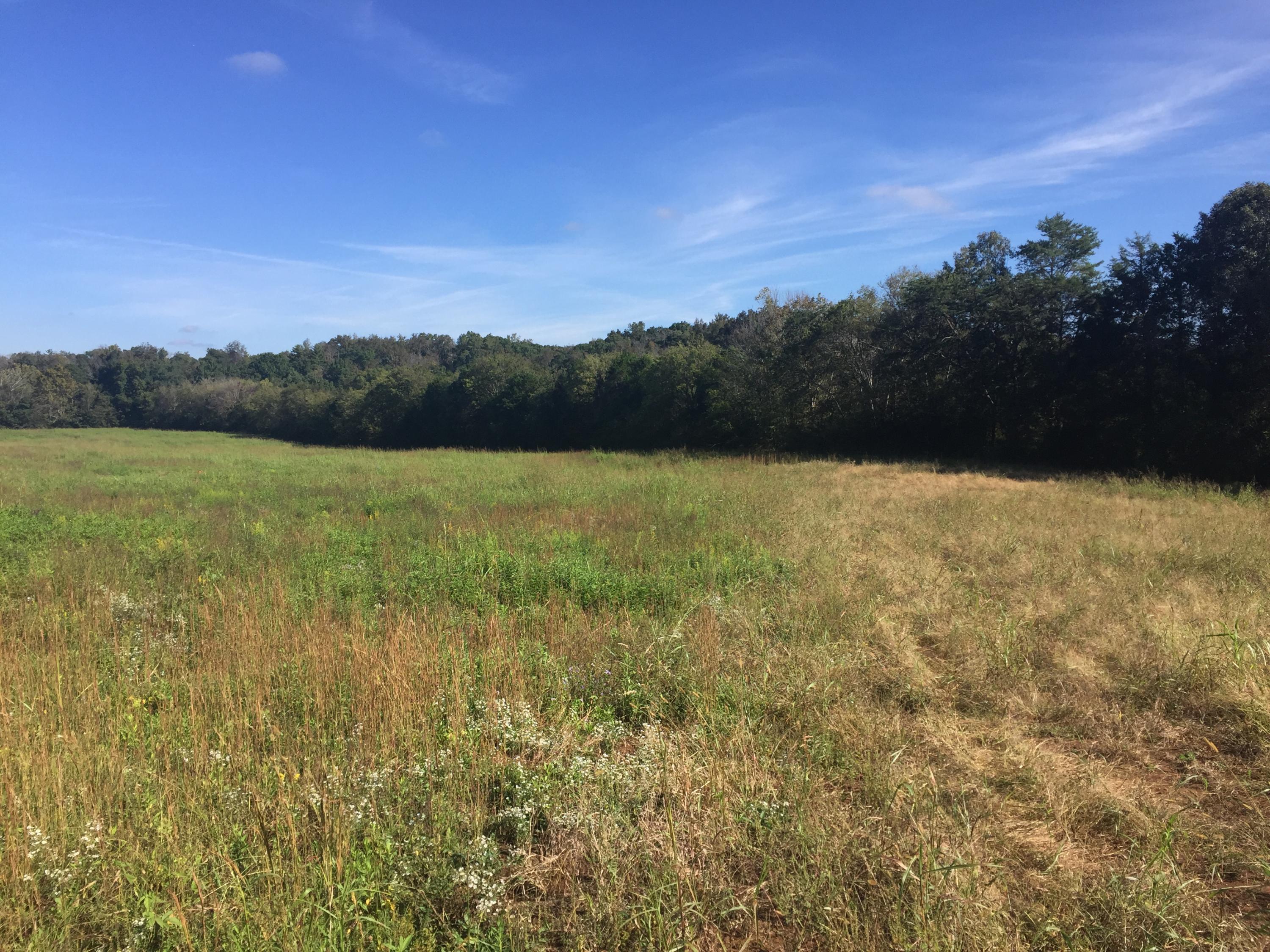 1920 Chota Road Maryville, TN 37803 - Photo 2 of 35 IMG_3008