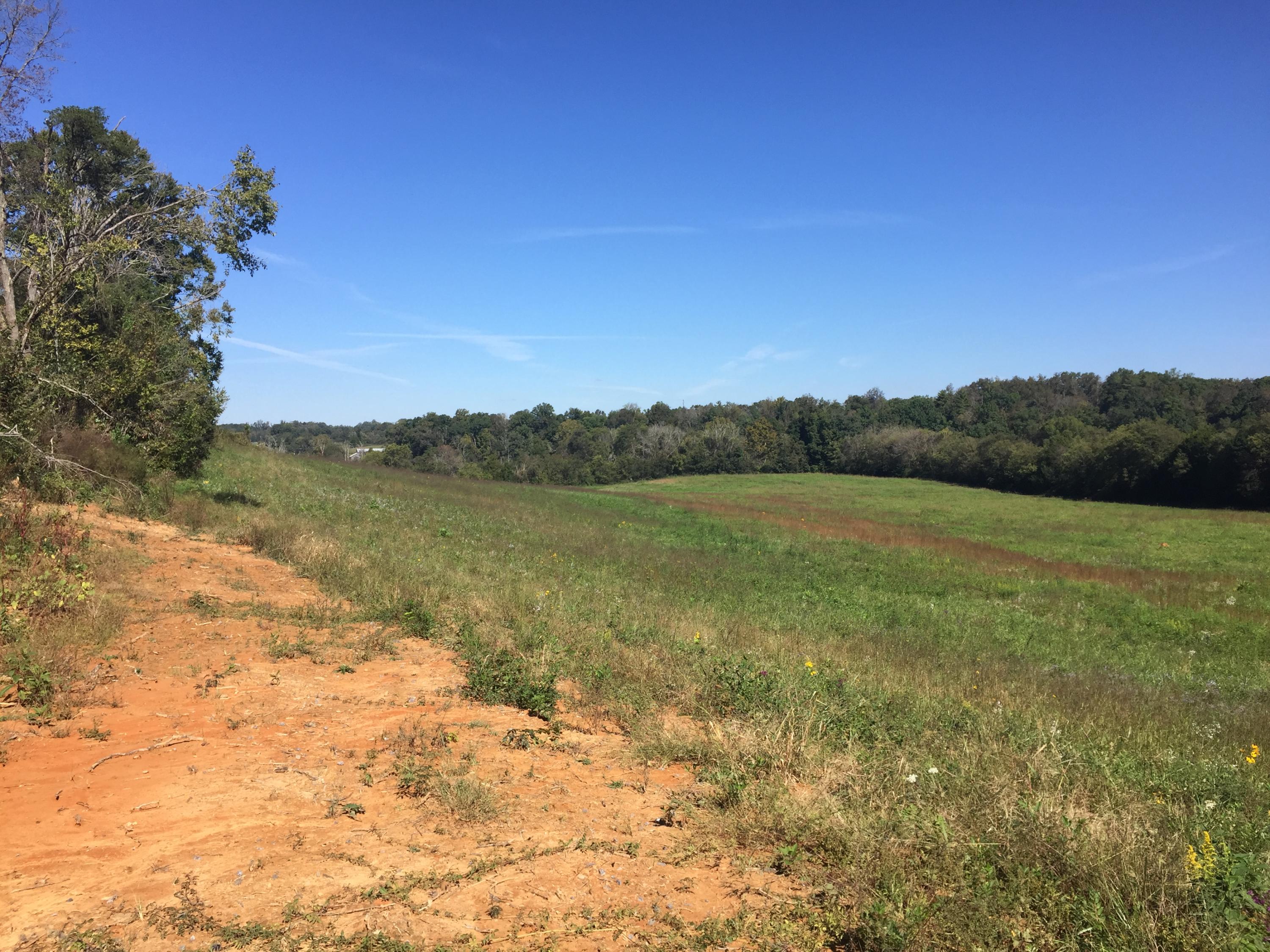 1920 Chota Road Maryville, TN 37803 - Photo 25 of 35 IMG_3061