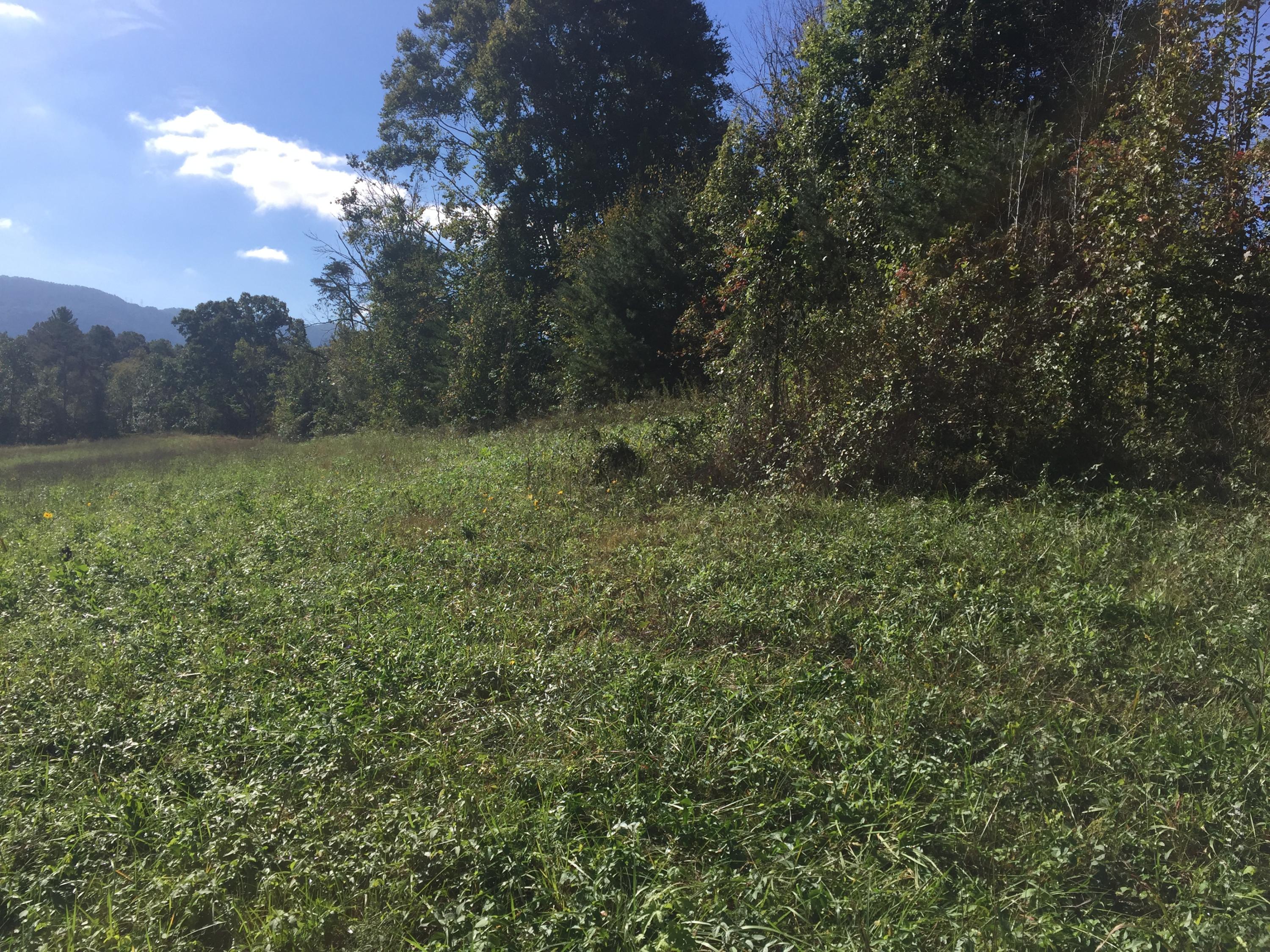 1920 Chota Road Maryville, TN 37803 - Photo 29 of 35 IMG_3014
