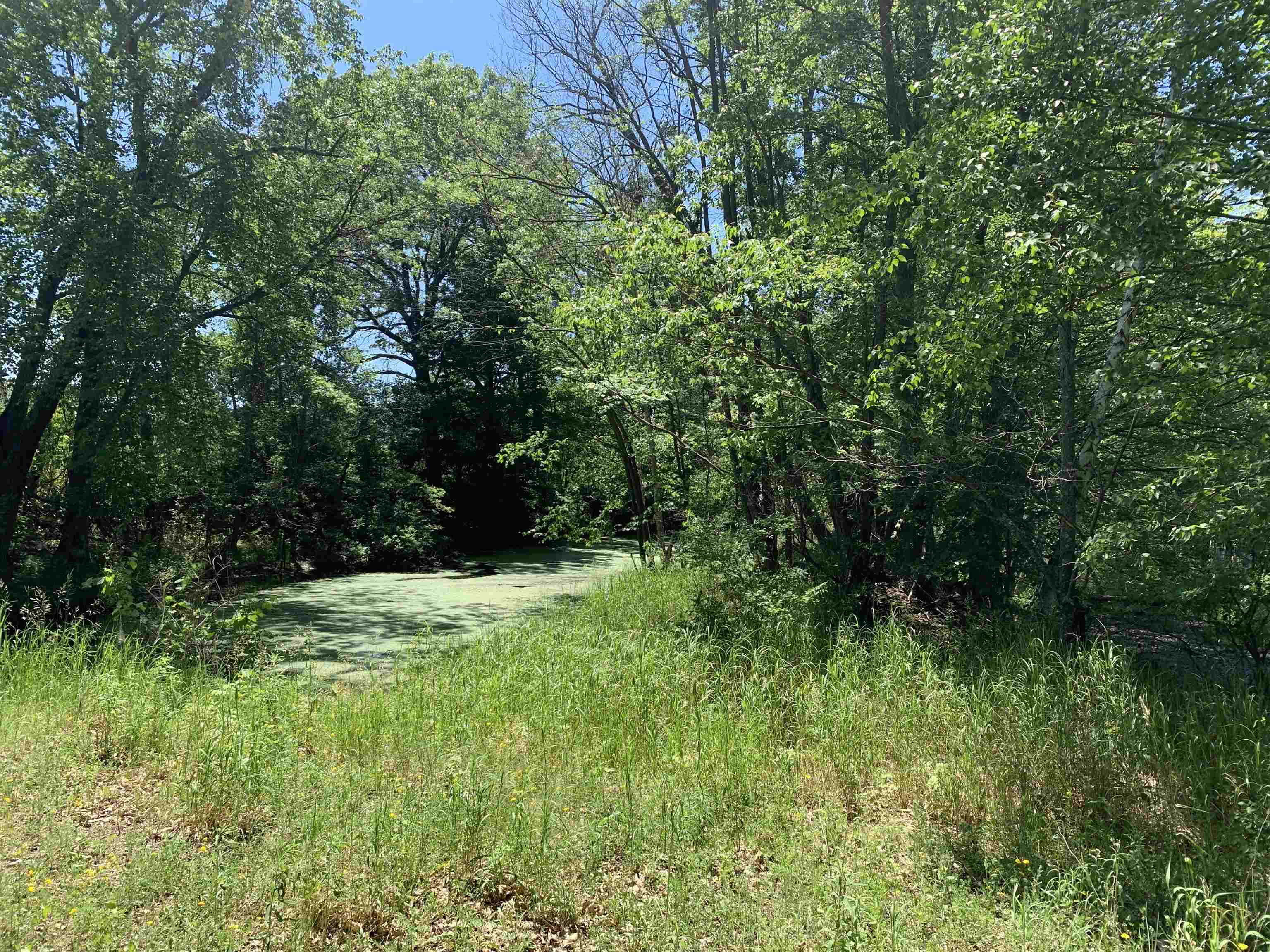 2001 Highway 54 Waupaca, WI 54981 - Photo 4 of 11