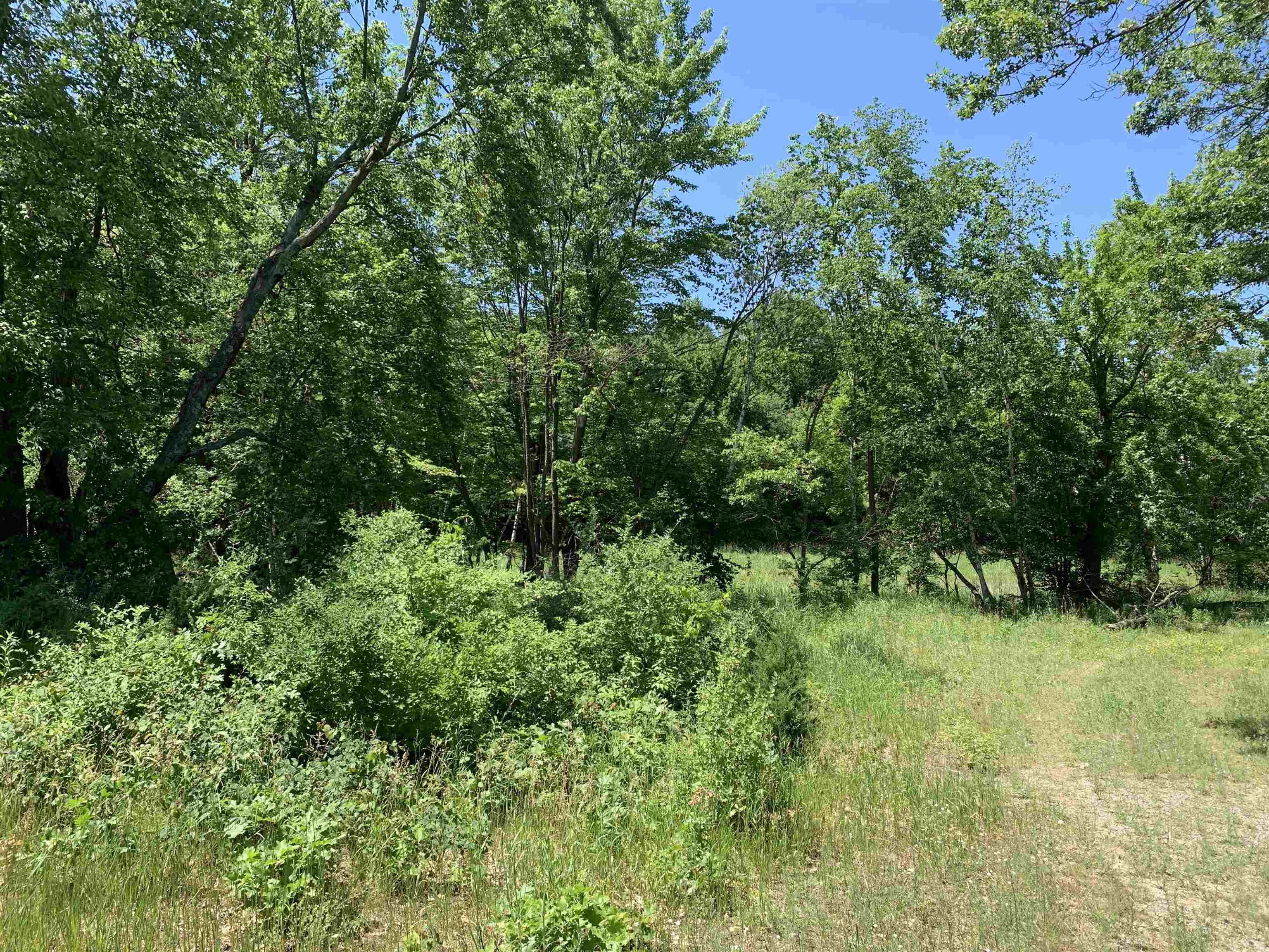 2001 Highway 54 Waupaca, WI 54981 - Photo 5 of 11