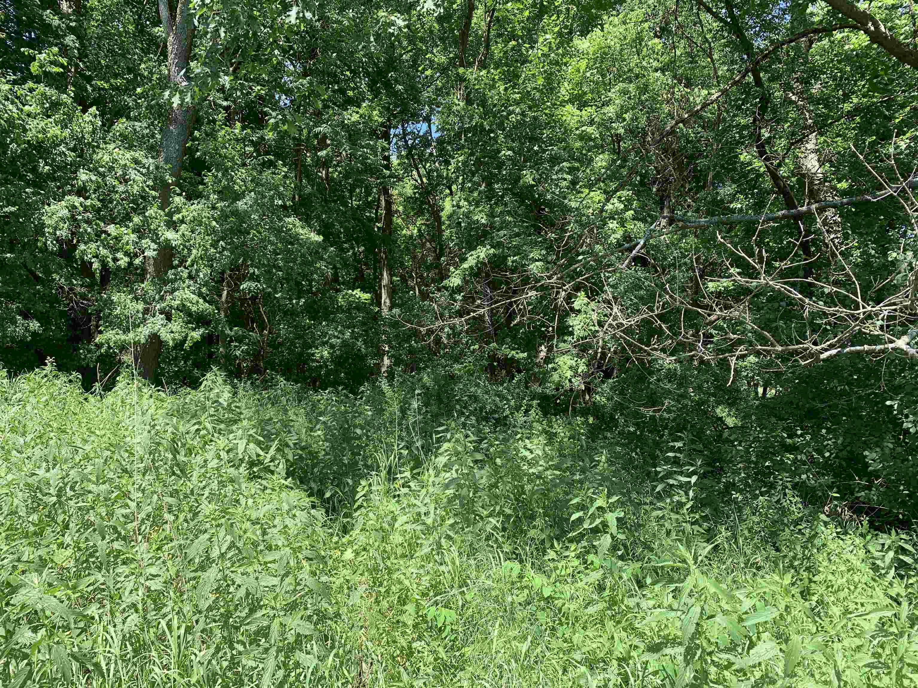 2001 Highway 54 Waupaca, WI 54981 - Photo 6 of 11