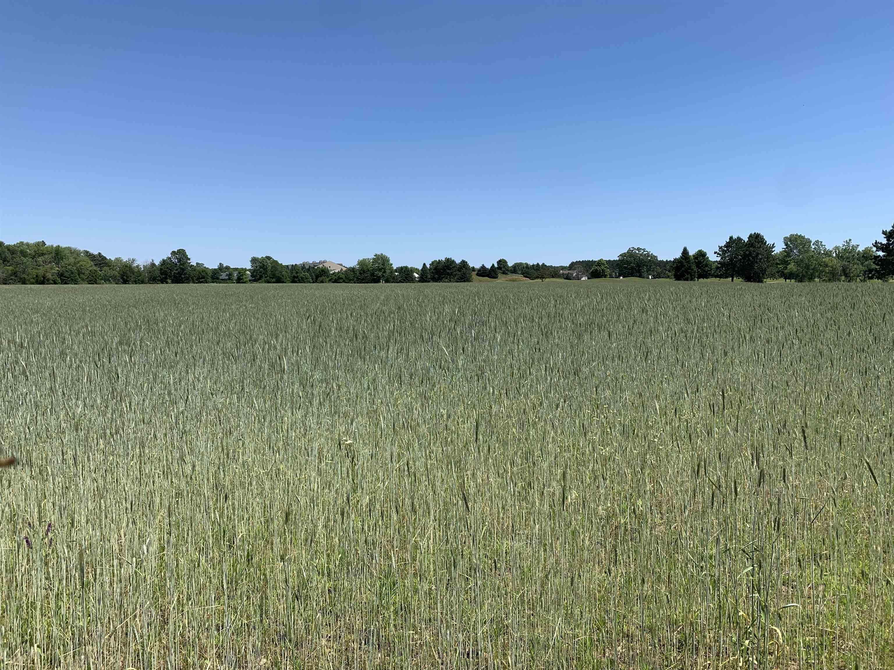 2001 Highway 54 Waupaca, WI 54981 - Photo 7 of 11