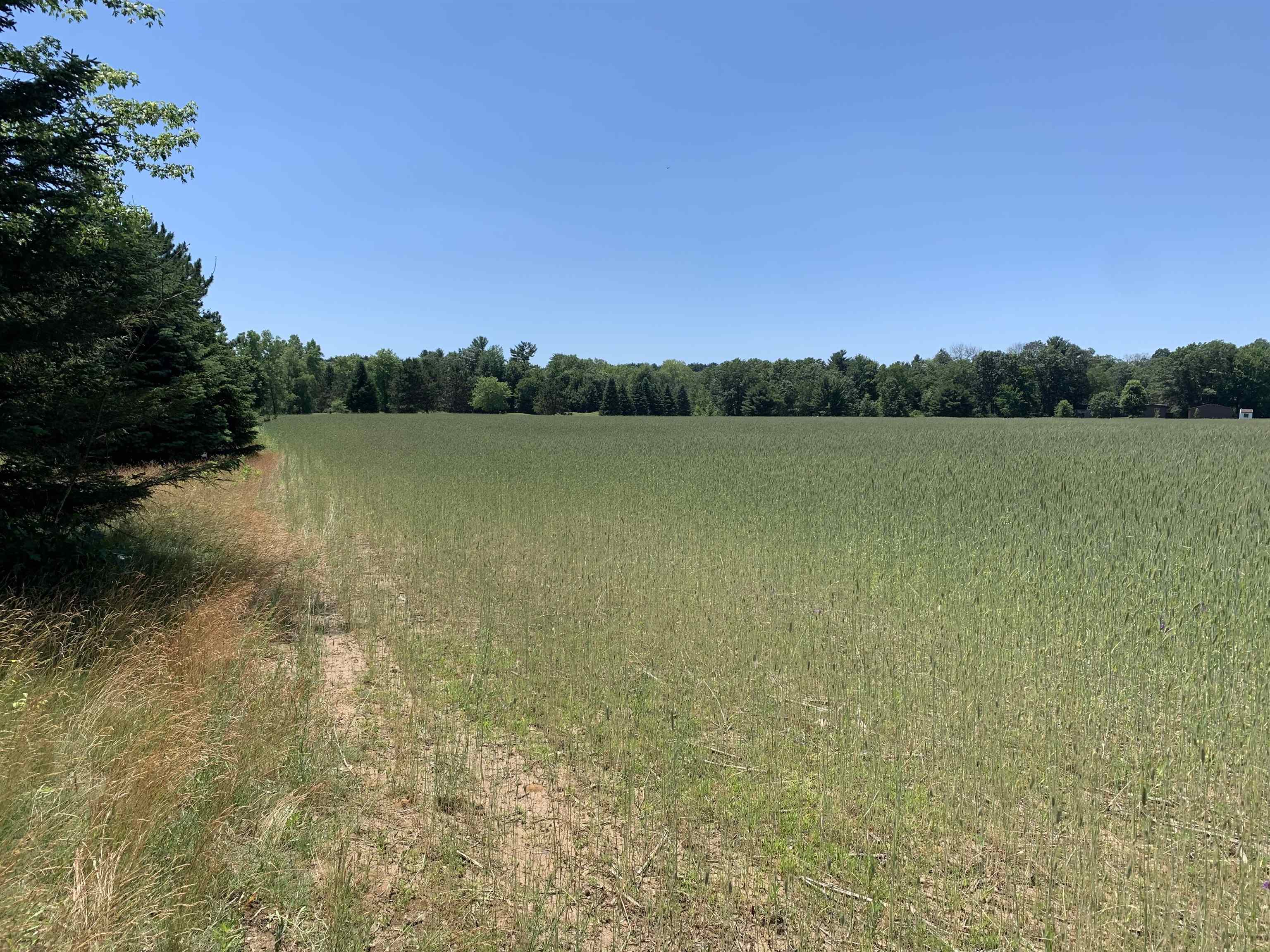 2001 Highway 54 Waupaca, WI 54981 - Photo 8 of 11